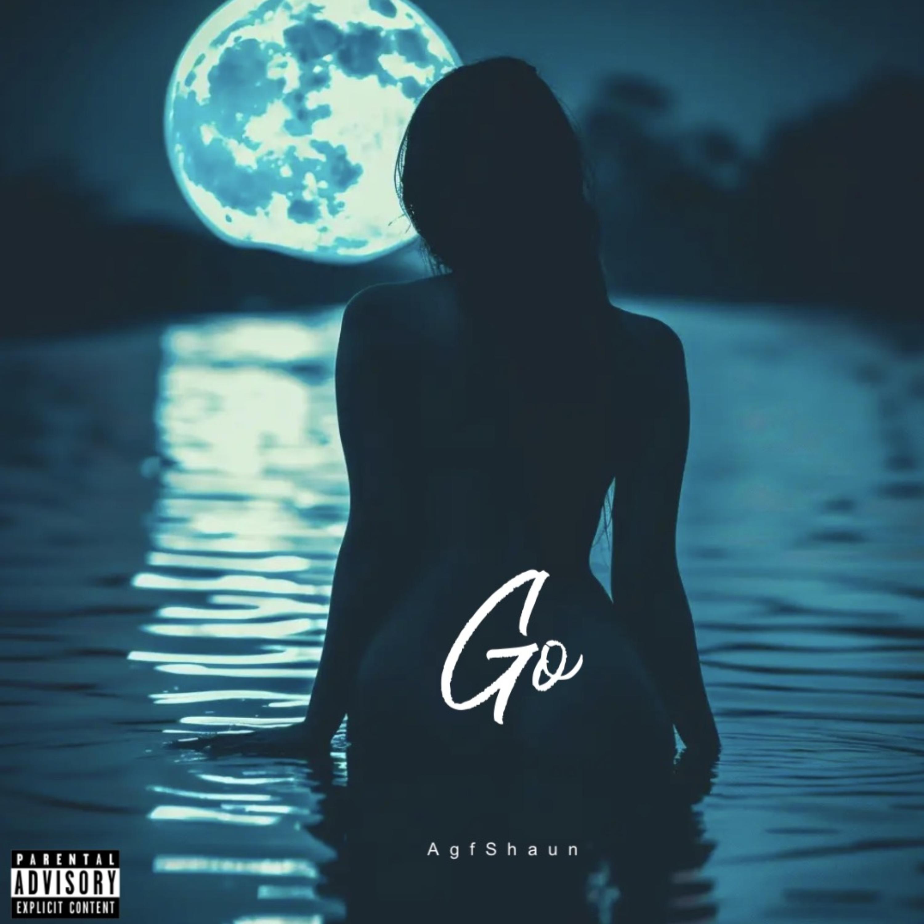 Go artwork