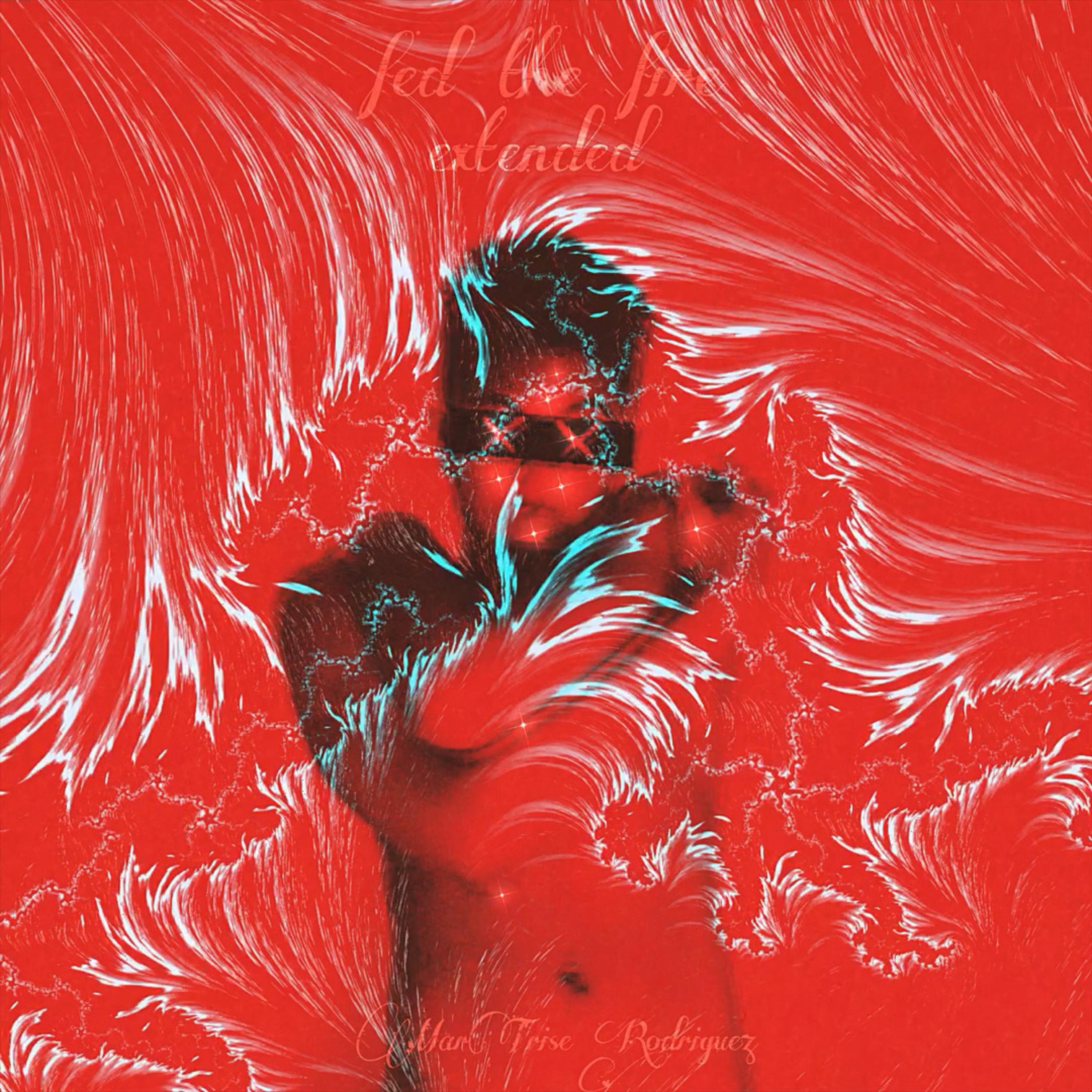 fed the fire (extended) artwork