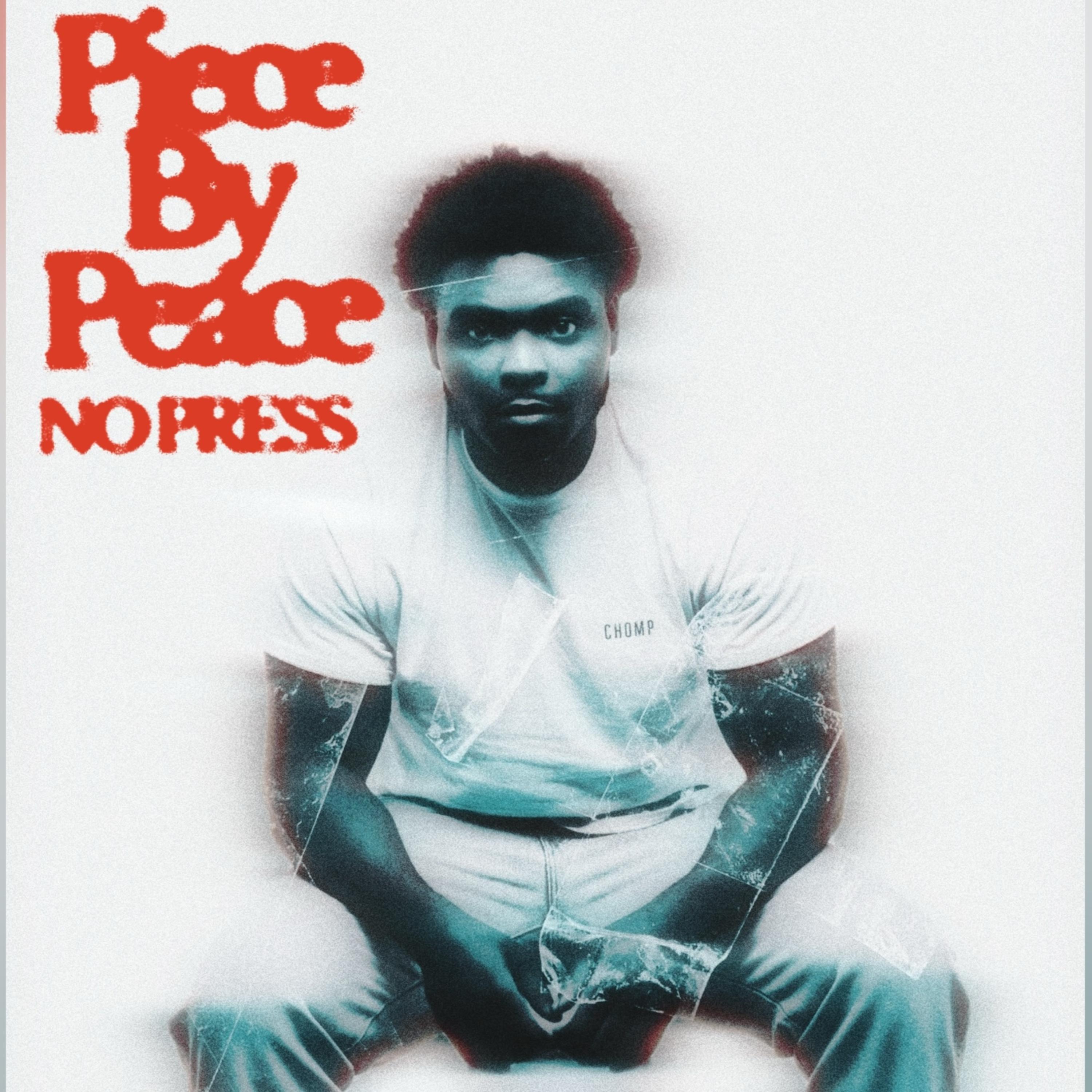 PIECE BY PEACE artwork