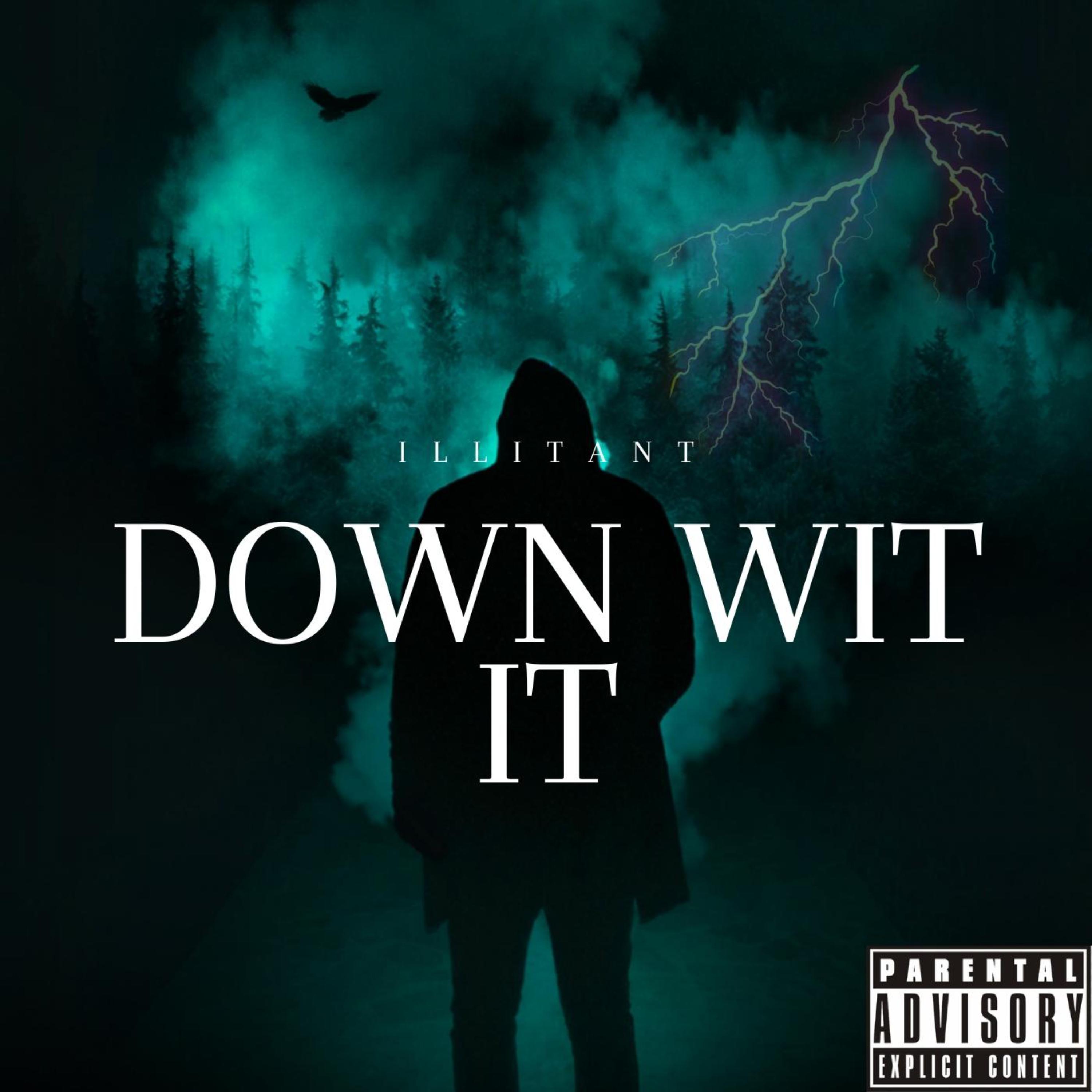 Down Wit It artwork