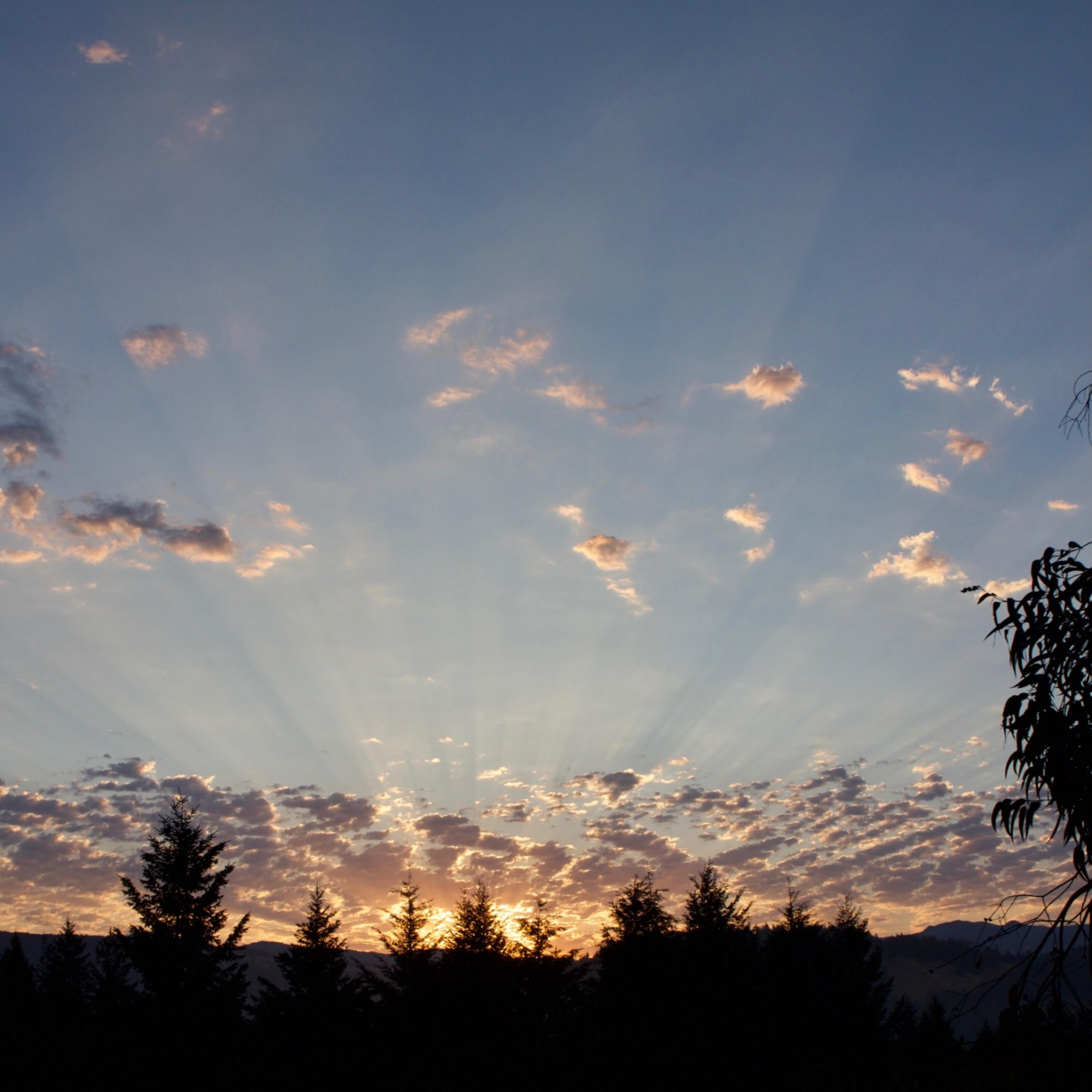 Sunset artwork