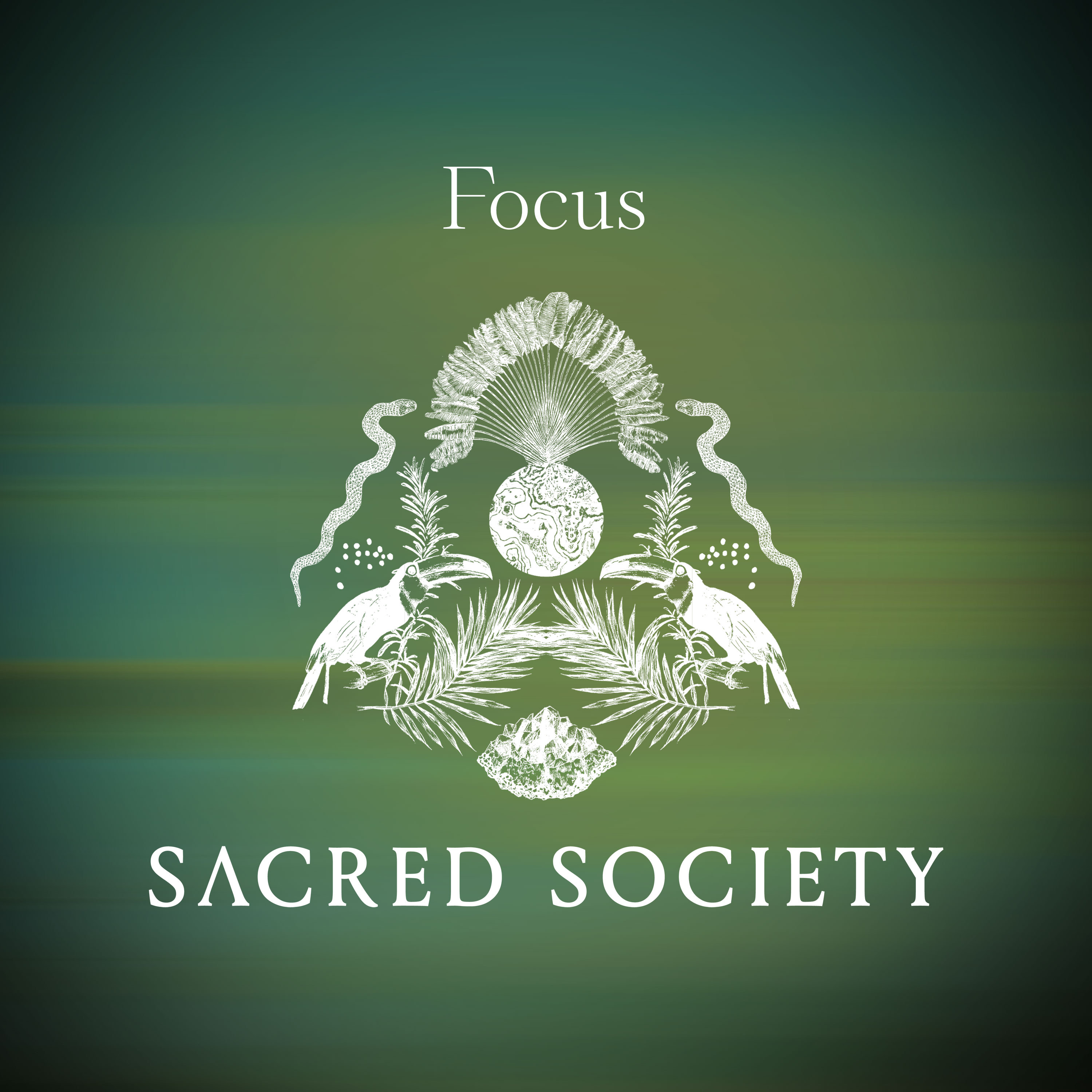 Focus artwork