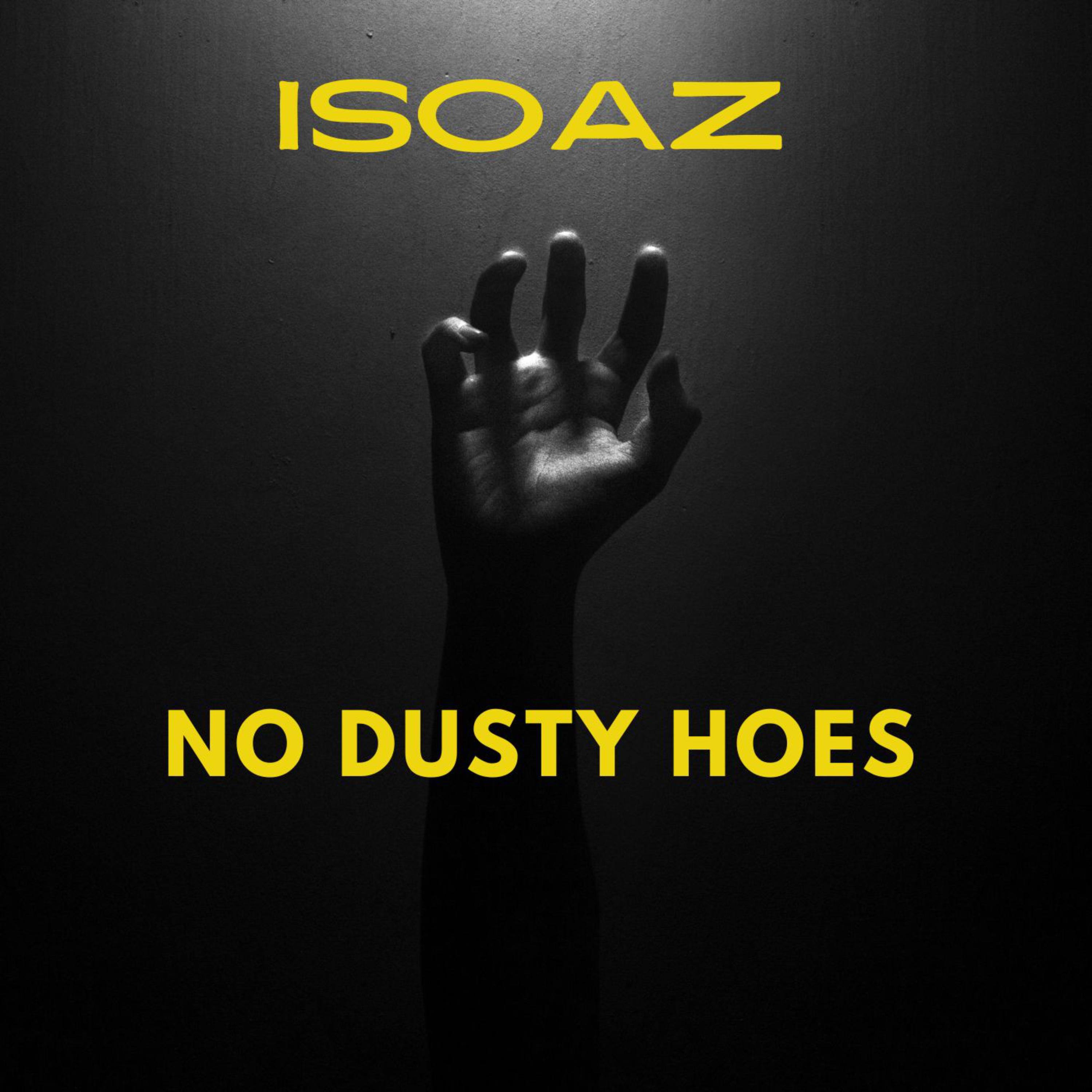 No Dusty Hoes artwork