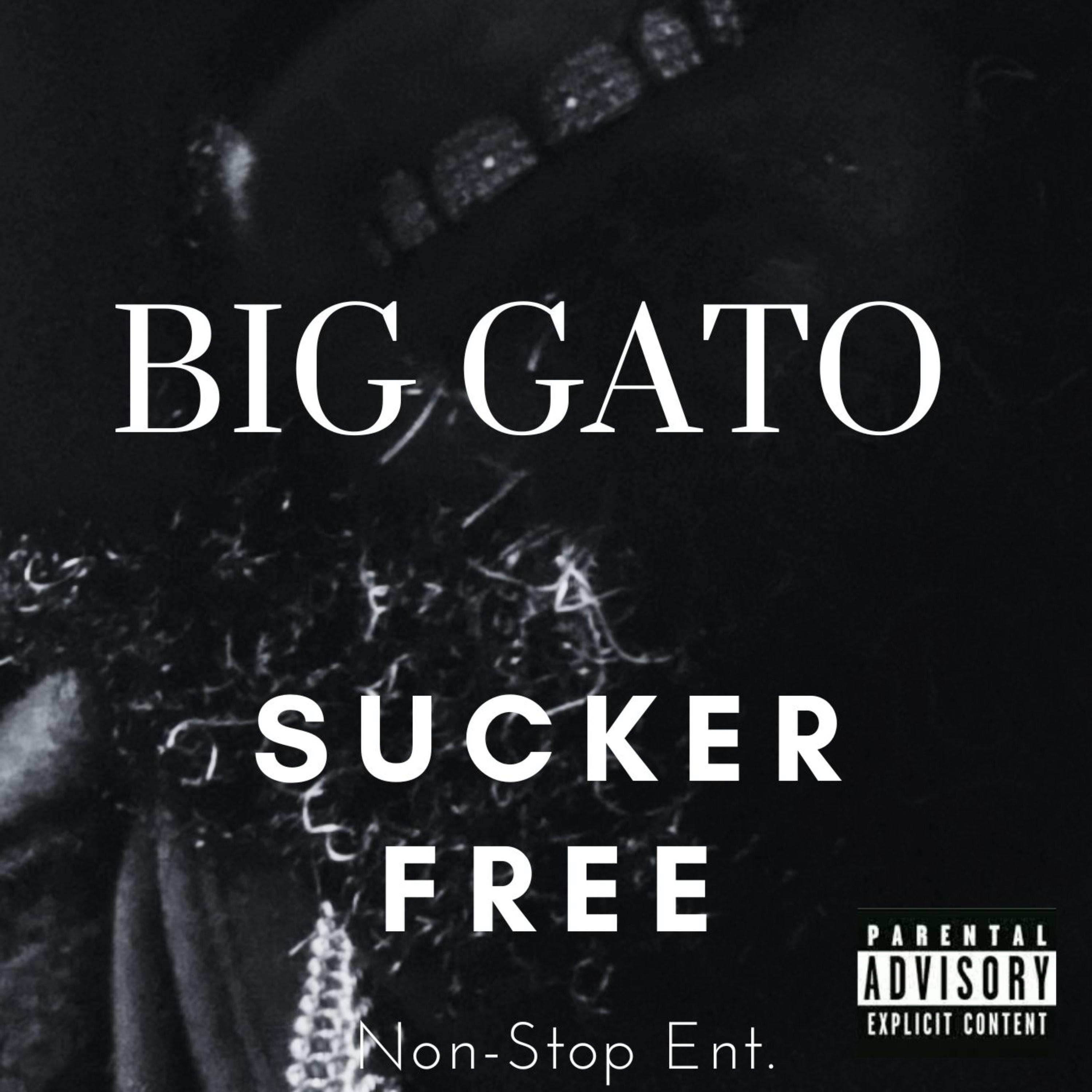 Sucker Free artwork
