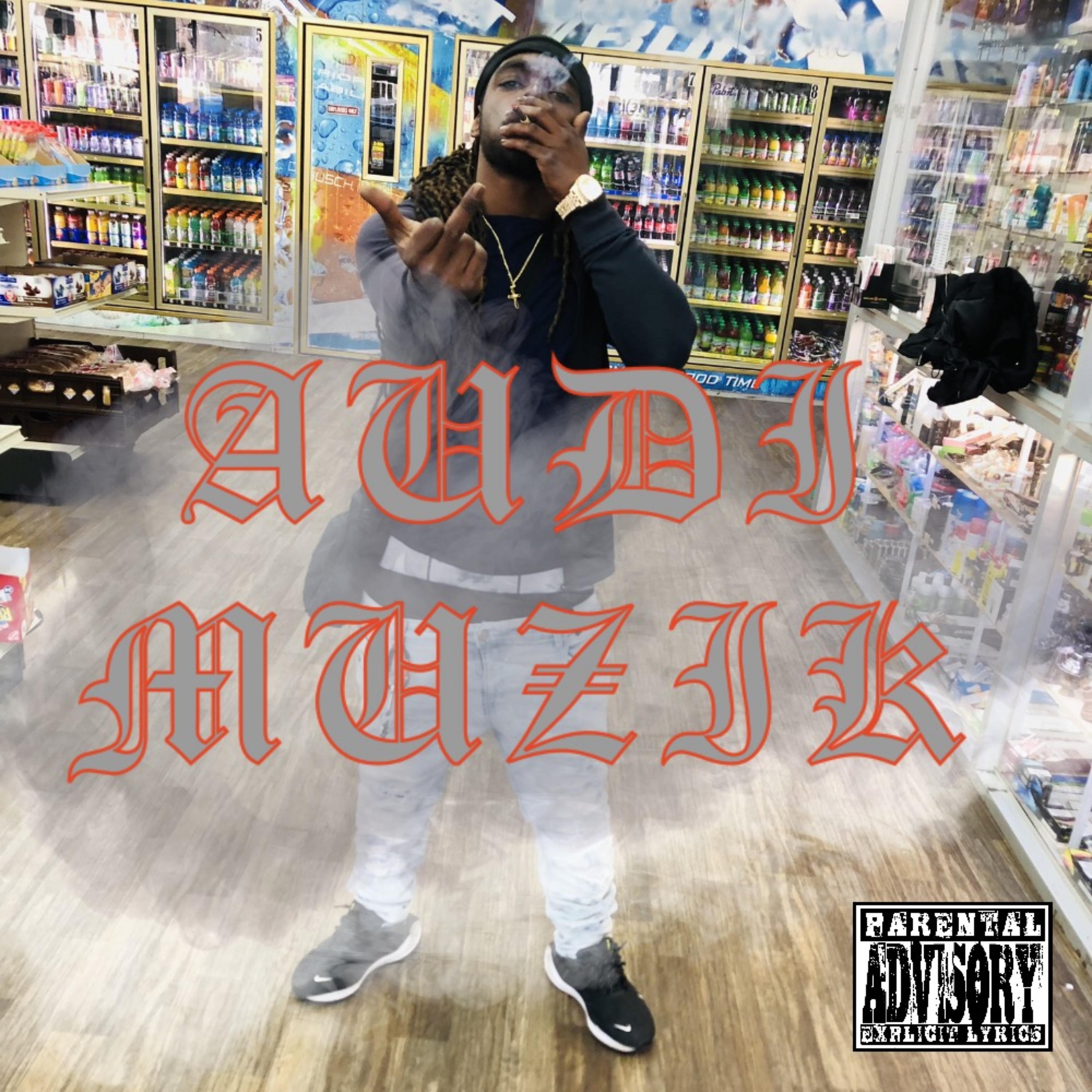 AUDI MUZIK artwork