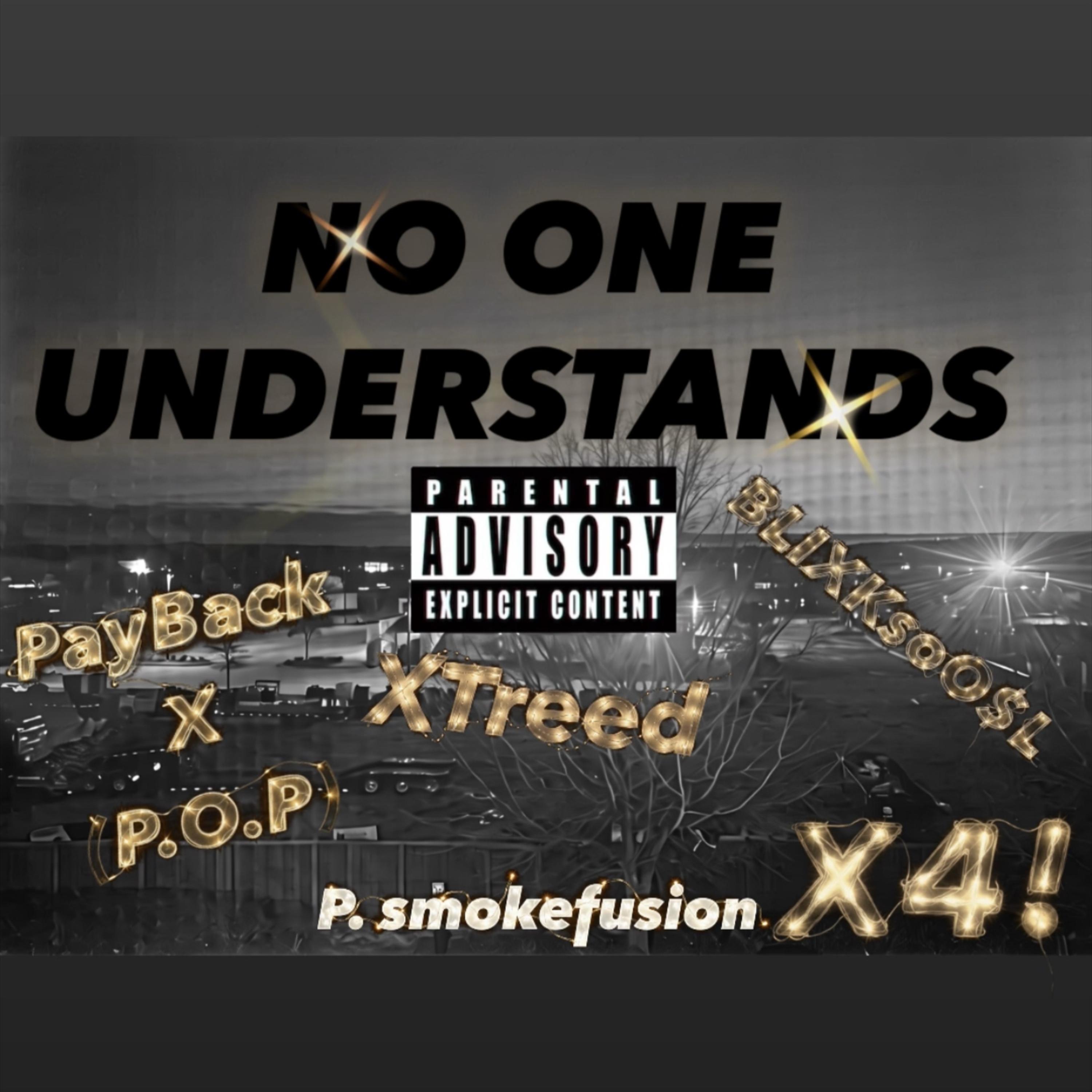 NO ONE UNDERSTANDS artwork