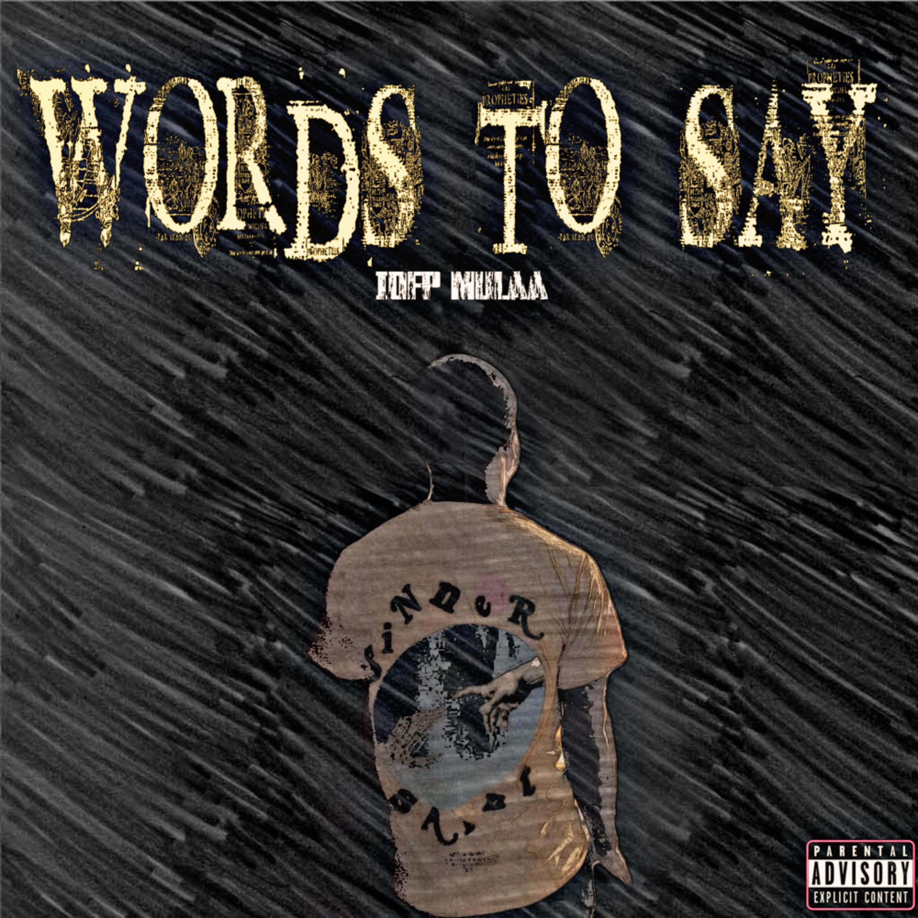 Words To Say by IDFP Mulaa cover art