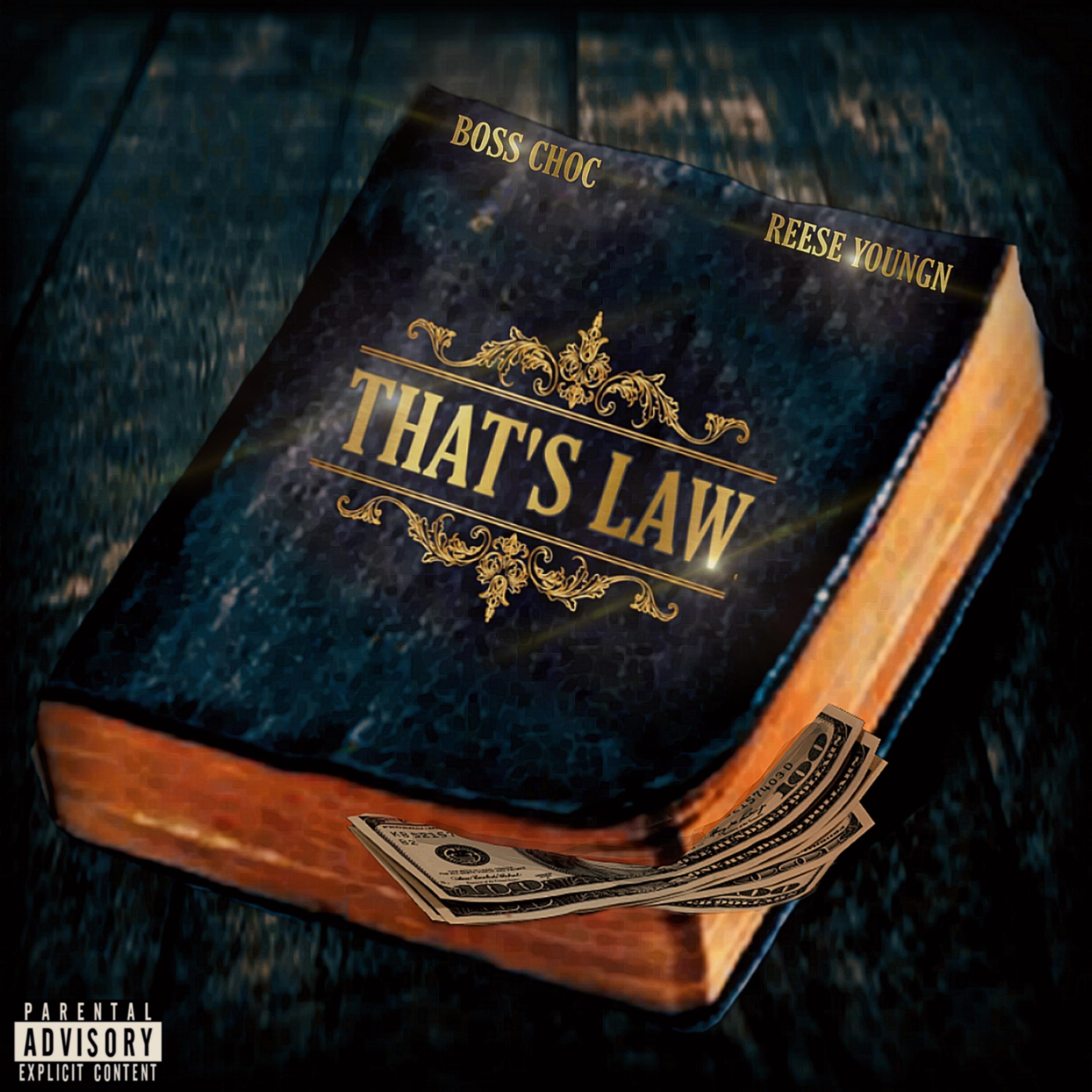 Thats Law artwork