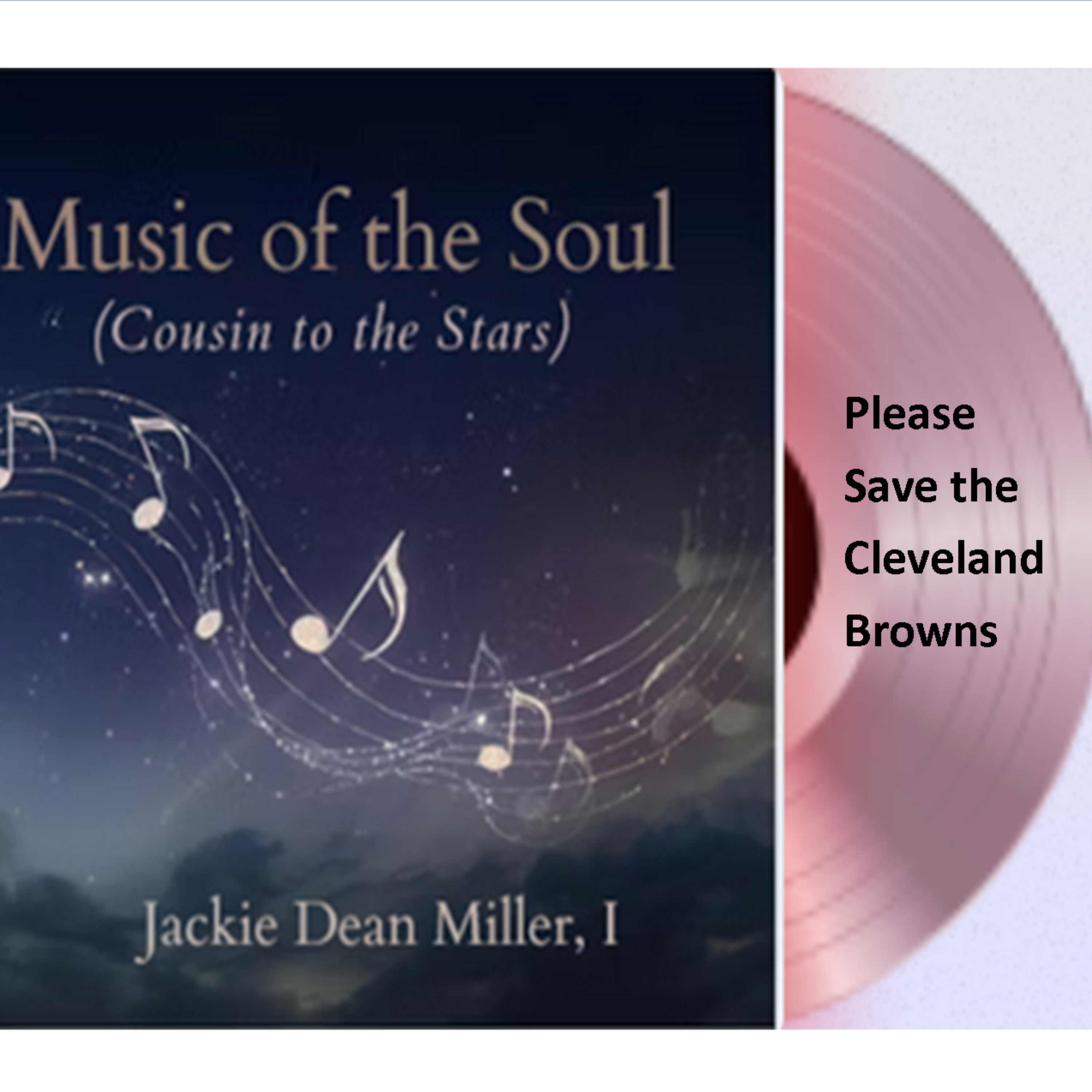 Please Save the Cleveland Browns artwork
