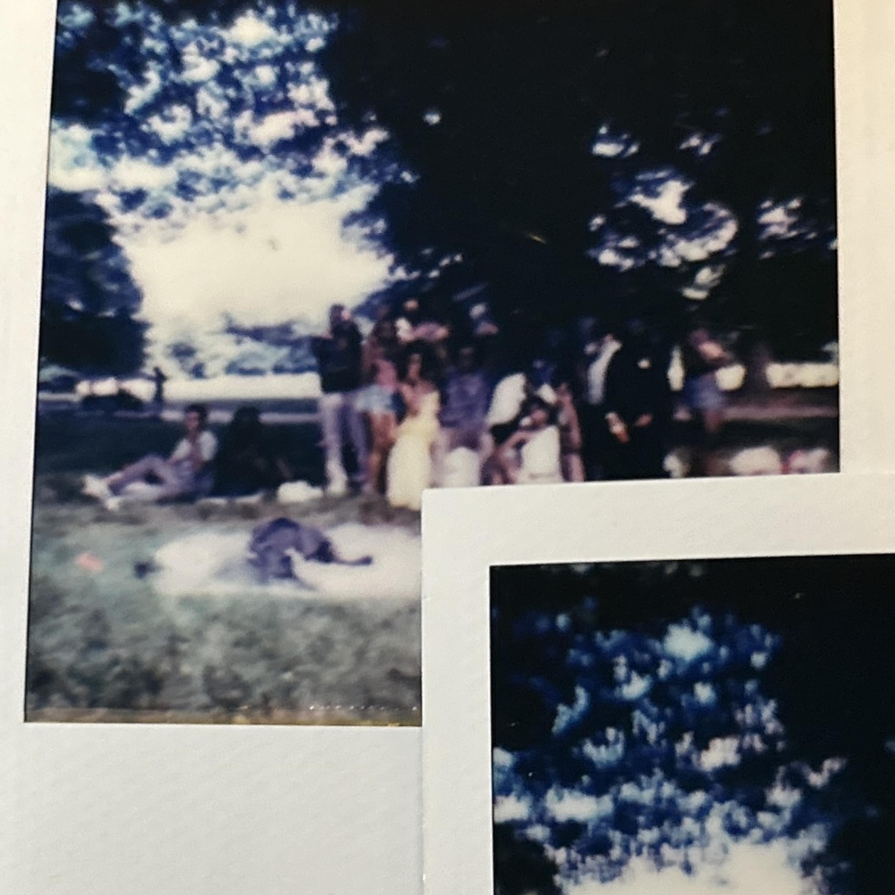 THE COOKOUT artwork