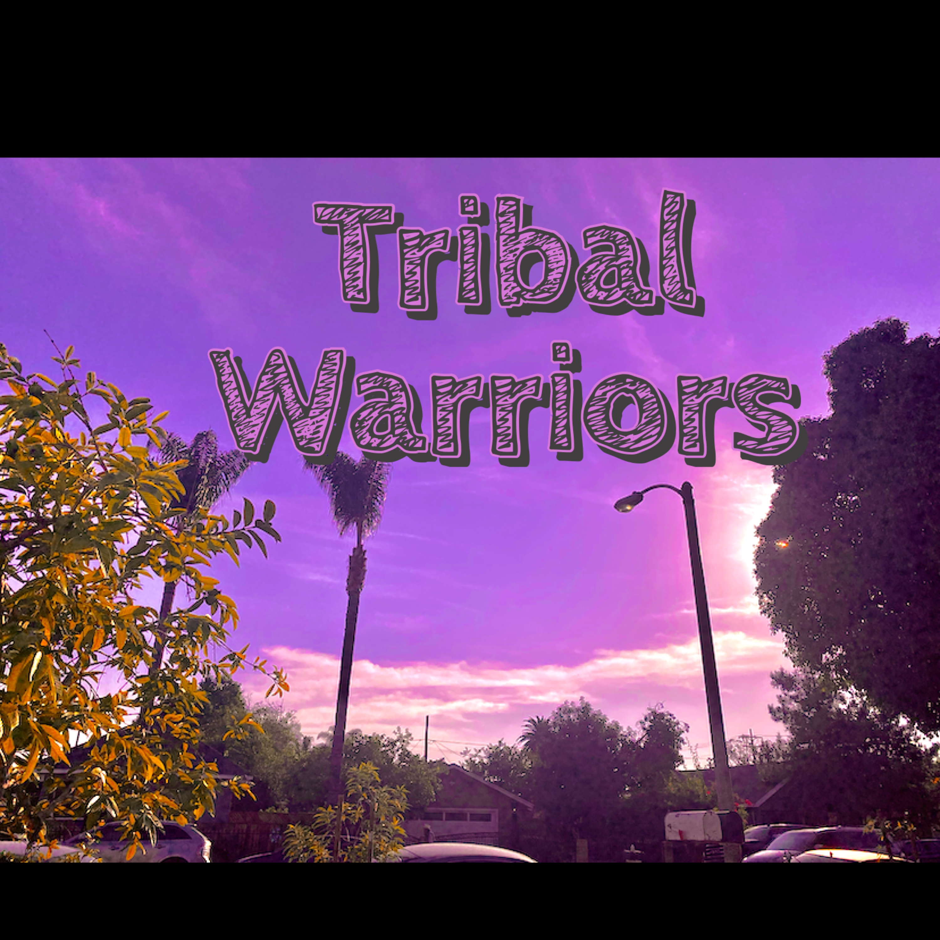 Tribal Warriors artwork