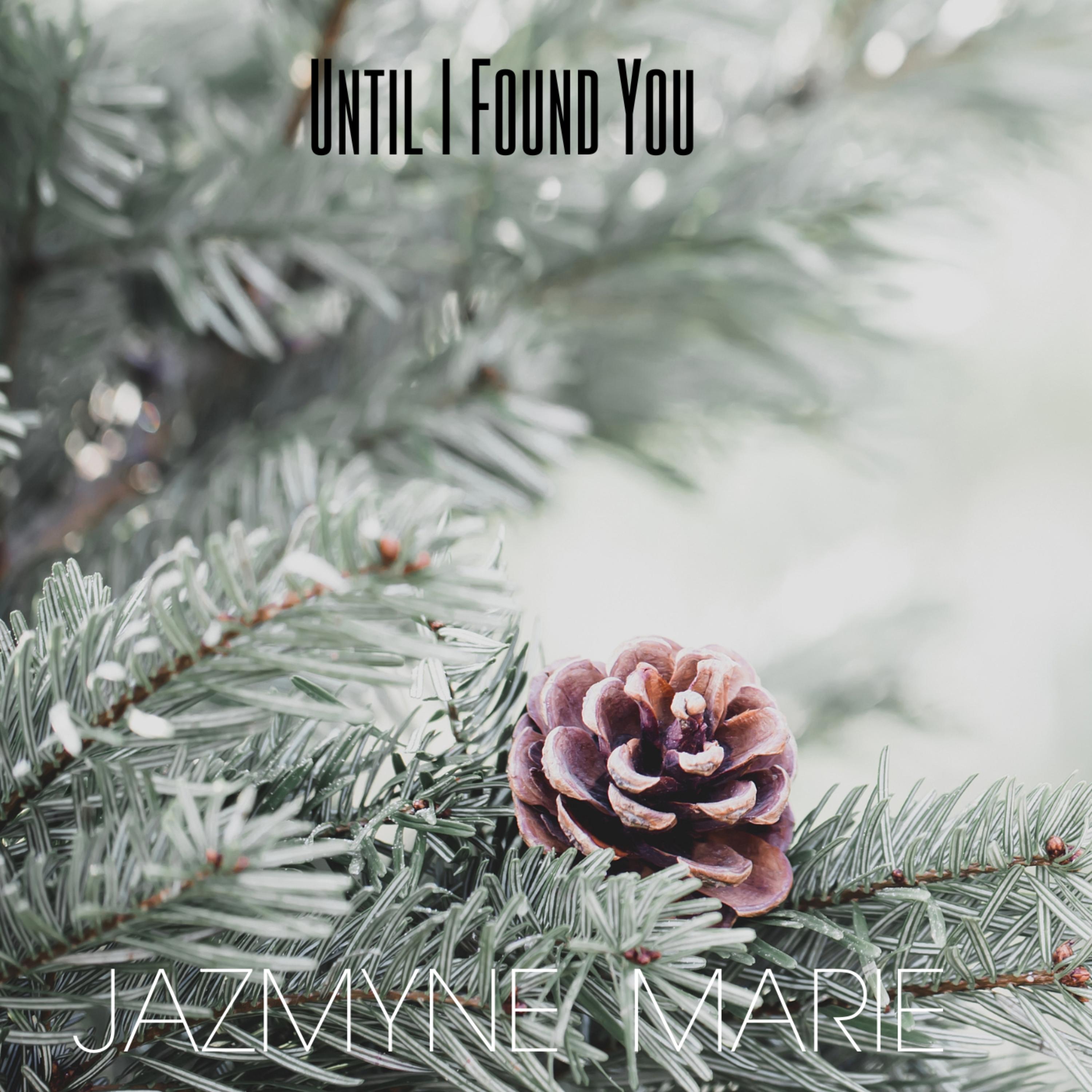 Until I Found You artwork