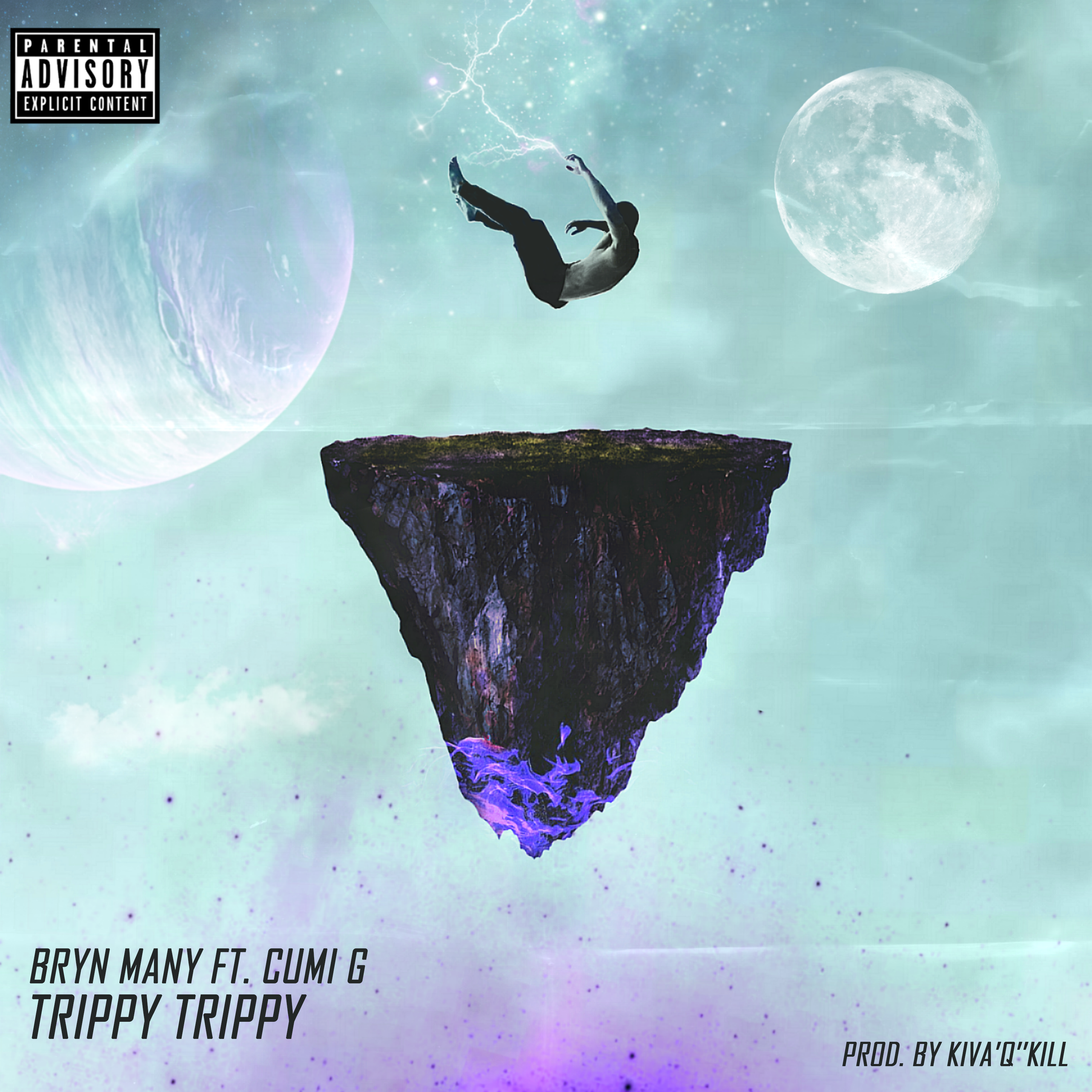 Trippy Trippy artwork