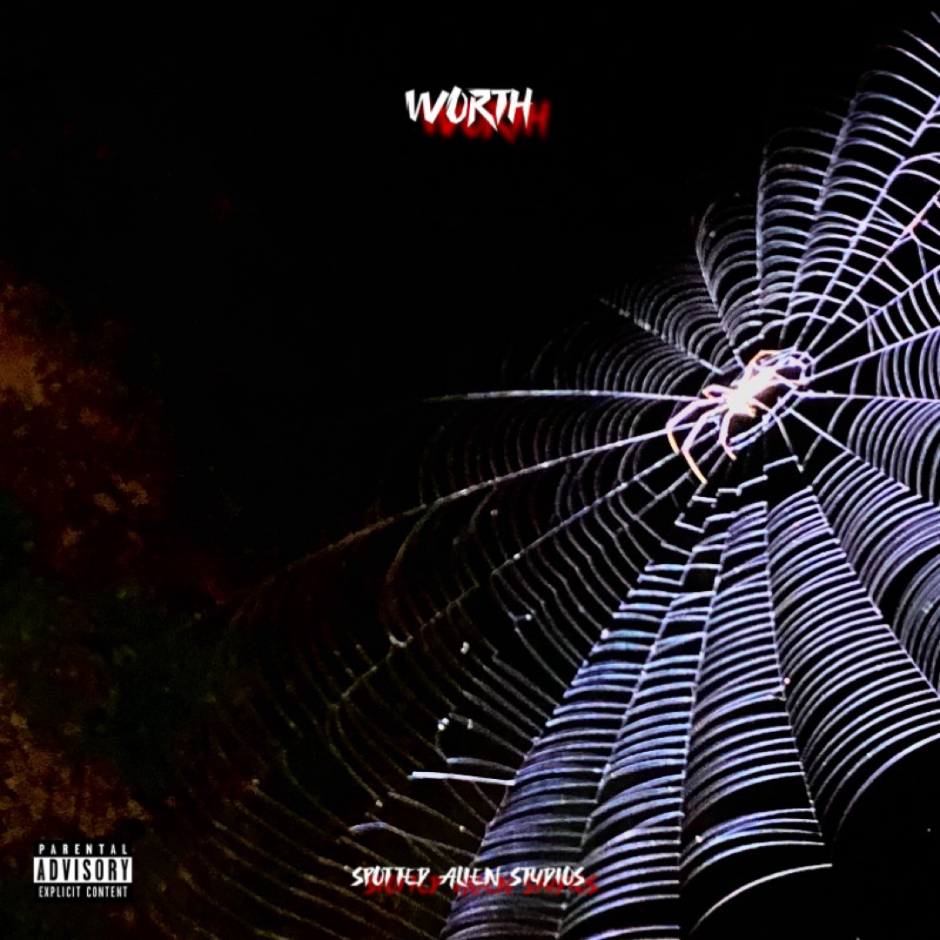 WORTH artwork
