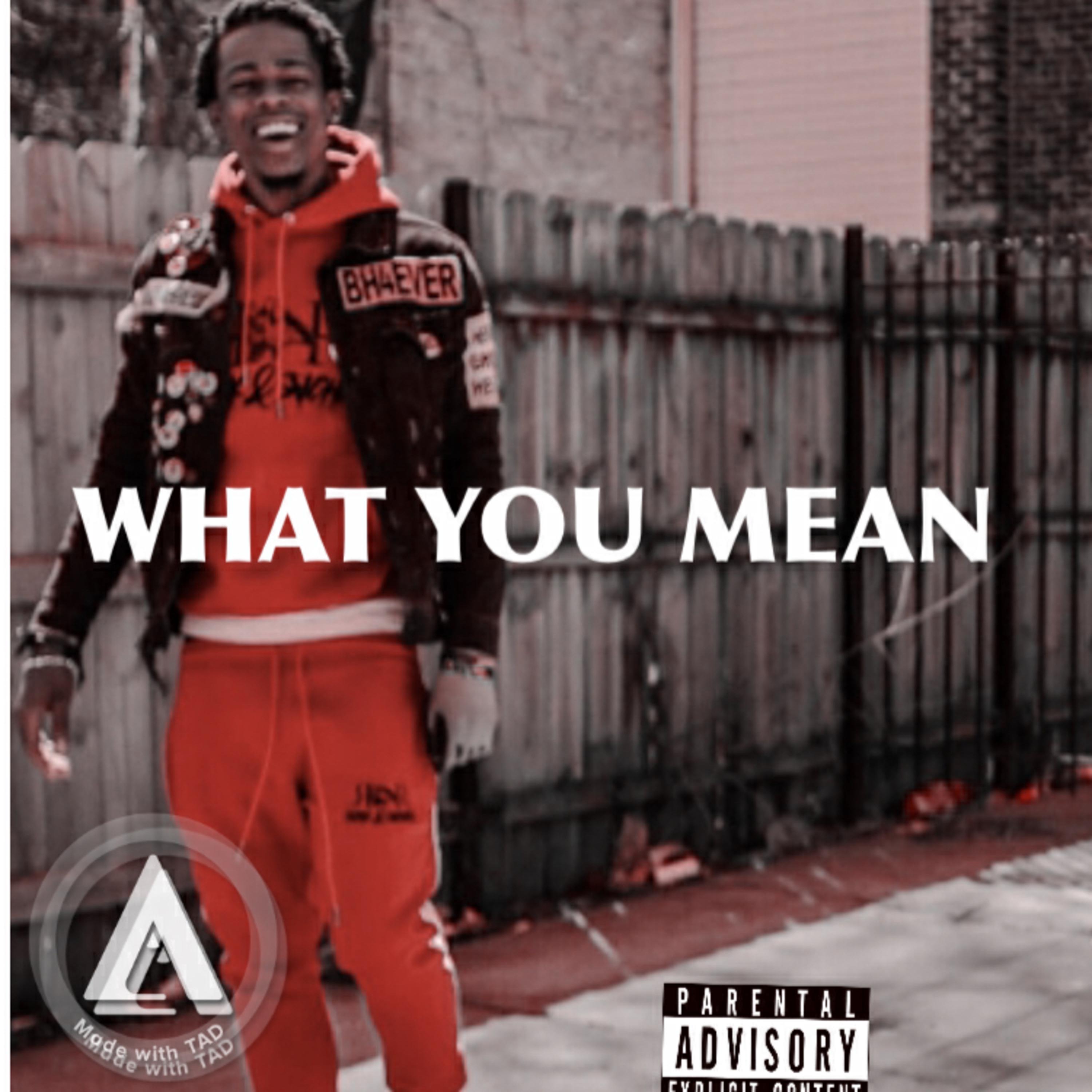 WHAT YOU MEAN artwork