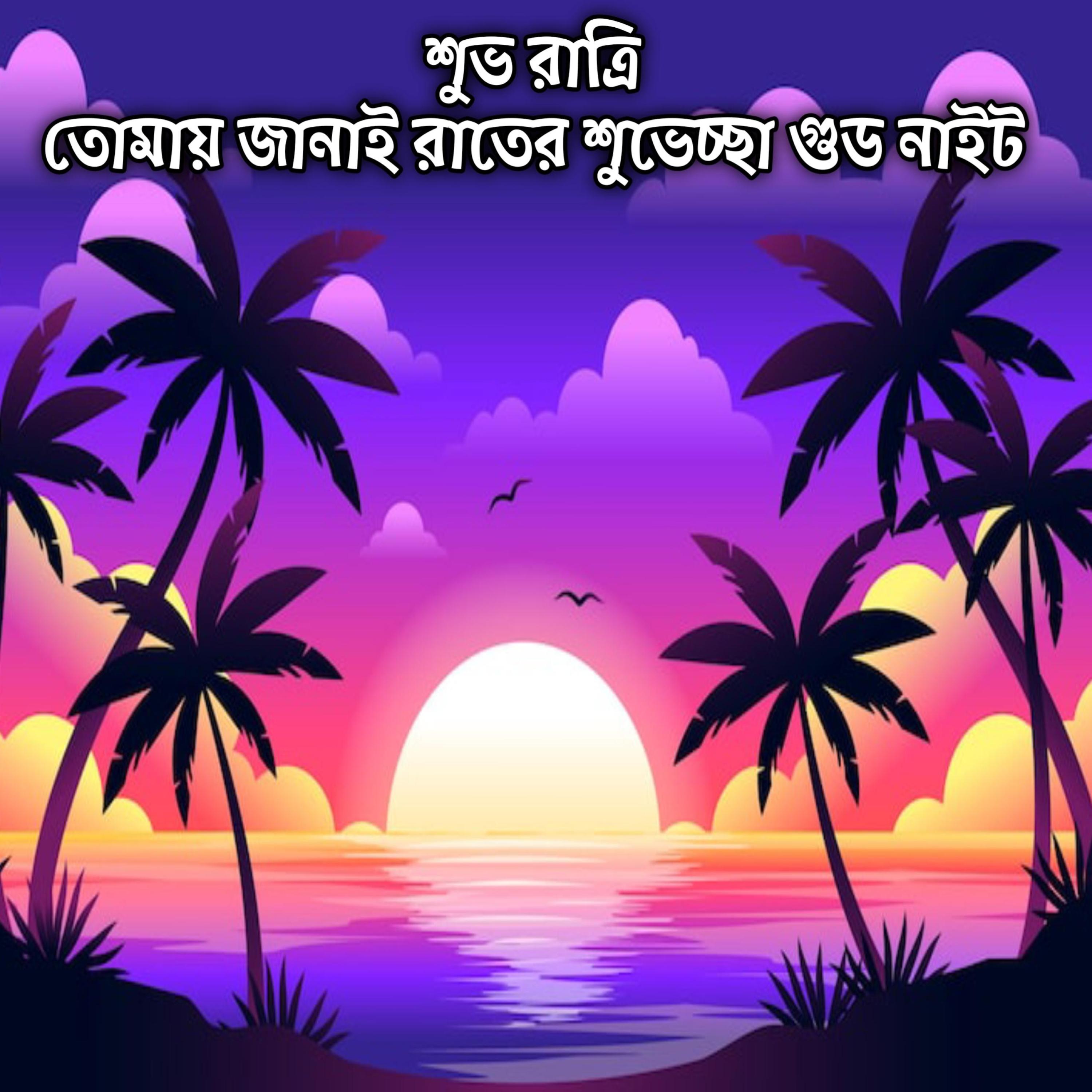 শুভ রাত্রি তোমায় জানাই রাতের শুভেচ্ছা গুড নাইট | Shubho Ratri Tumai Janai Rater Shuvescha Good Night Wishes by Mubin TusHar cover art