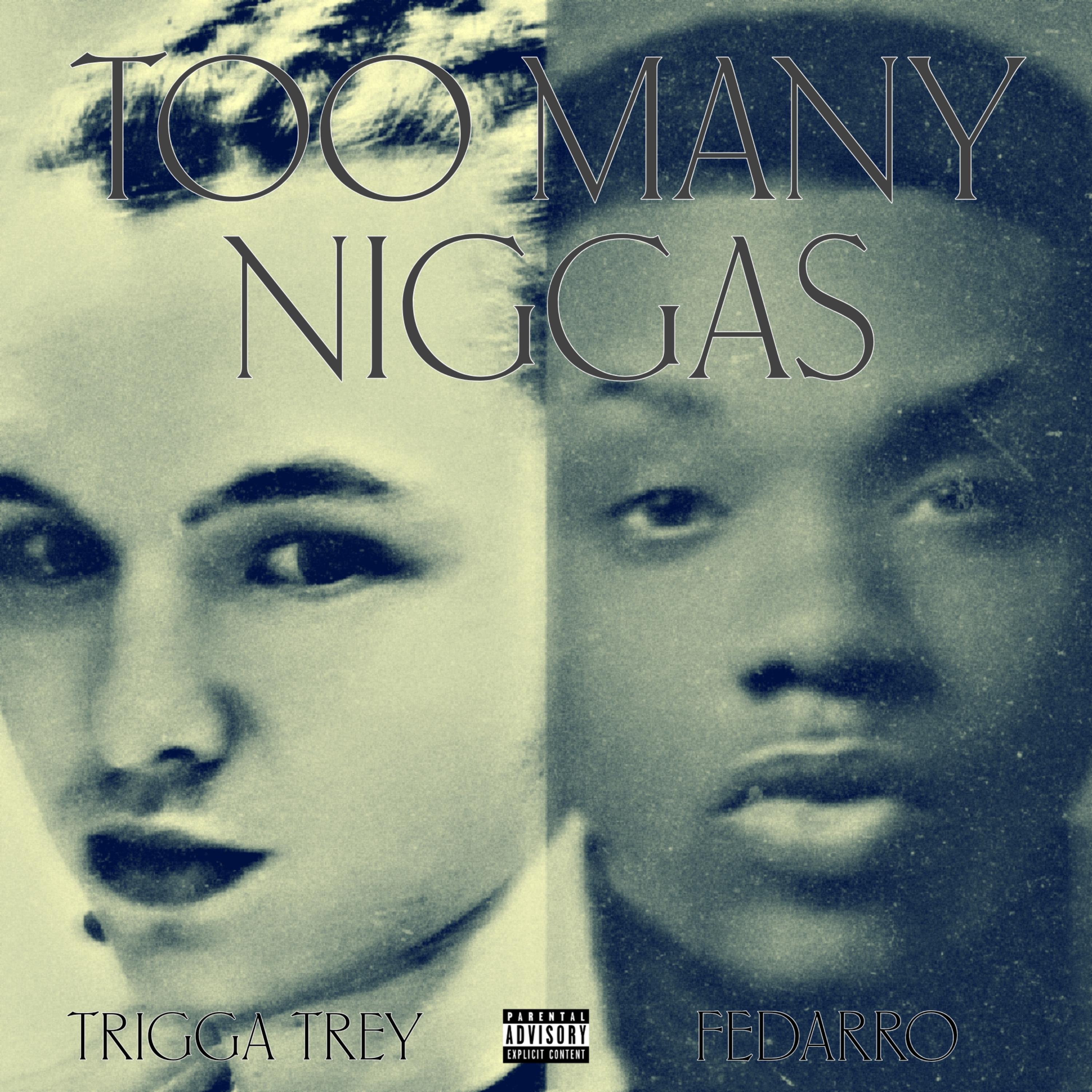 Too Many Niggas artwork