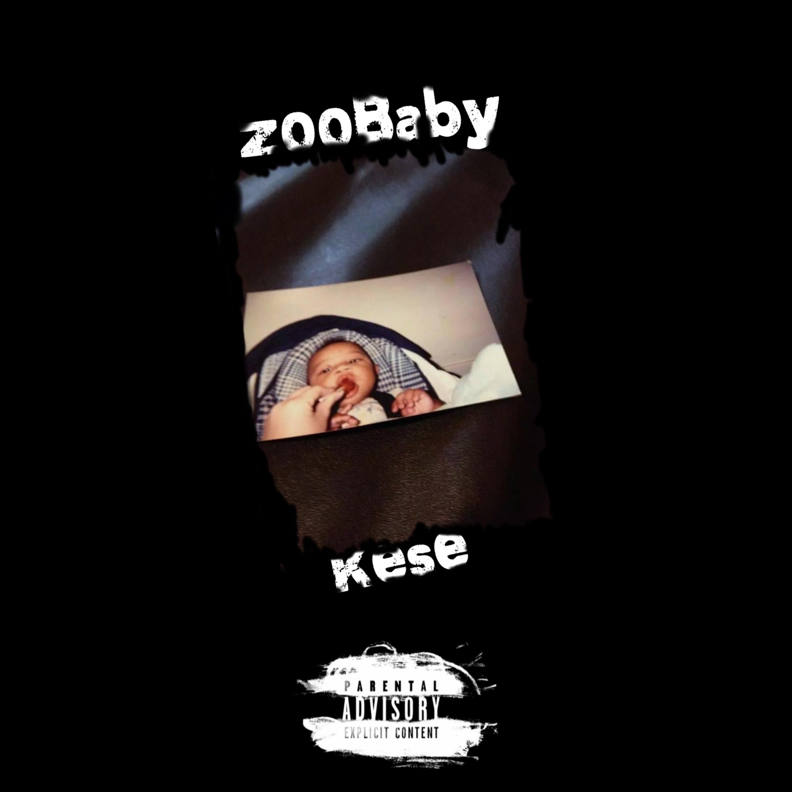 ZooBaby artwork