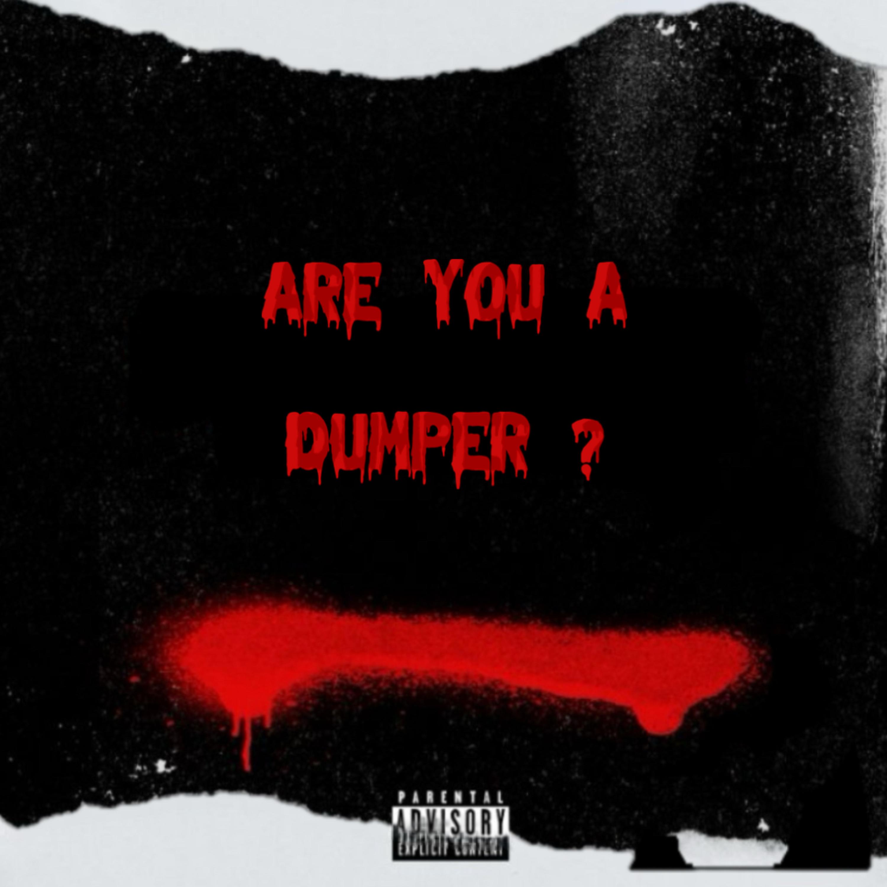 Are You A Dumper? artwork