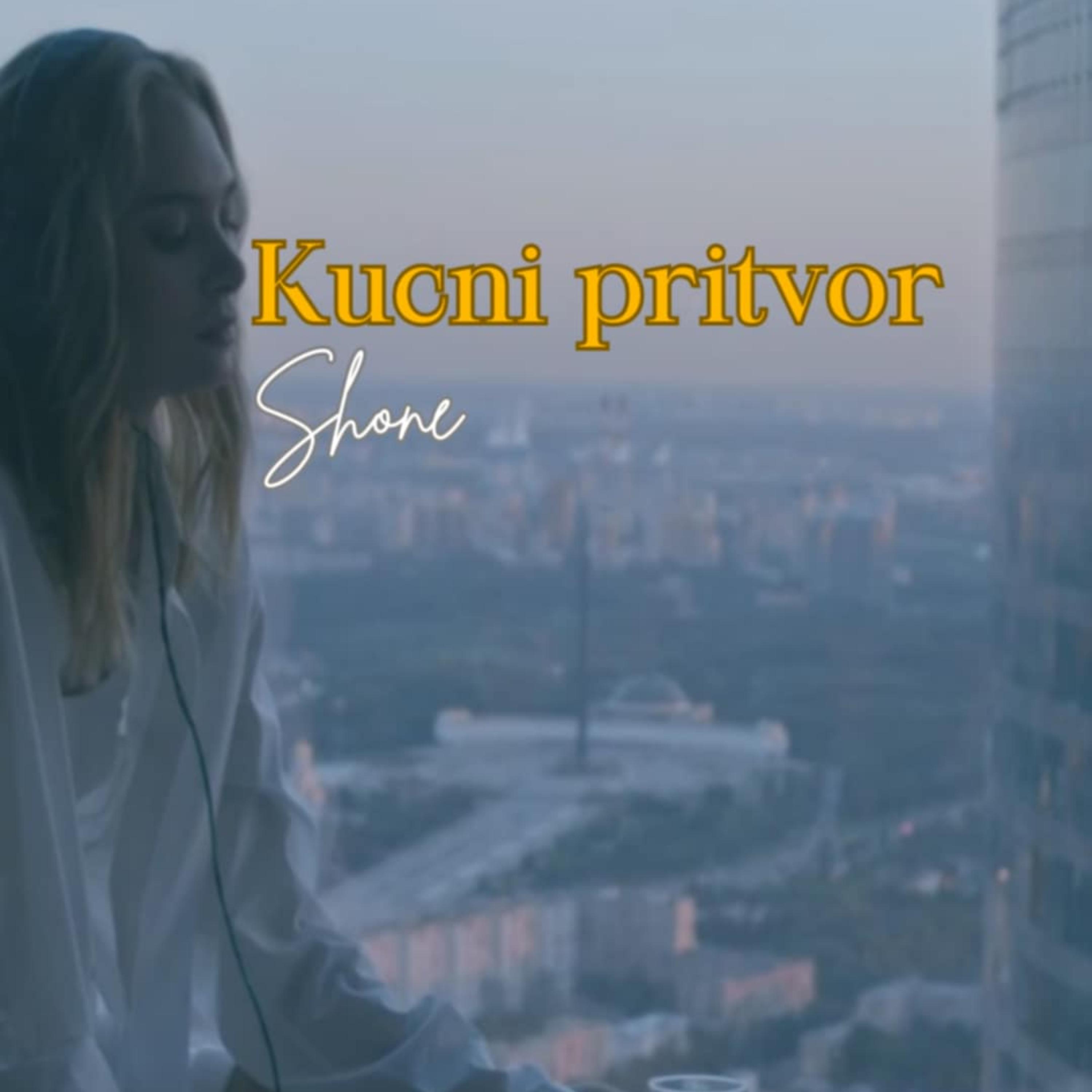 Kucni pritvor artwork