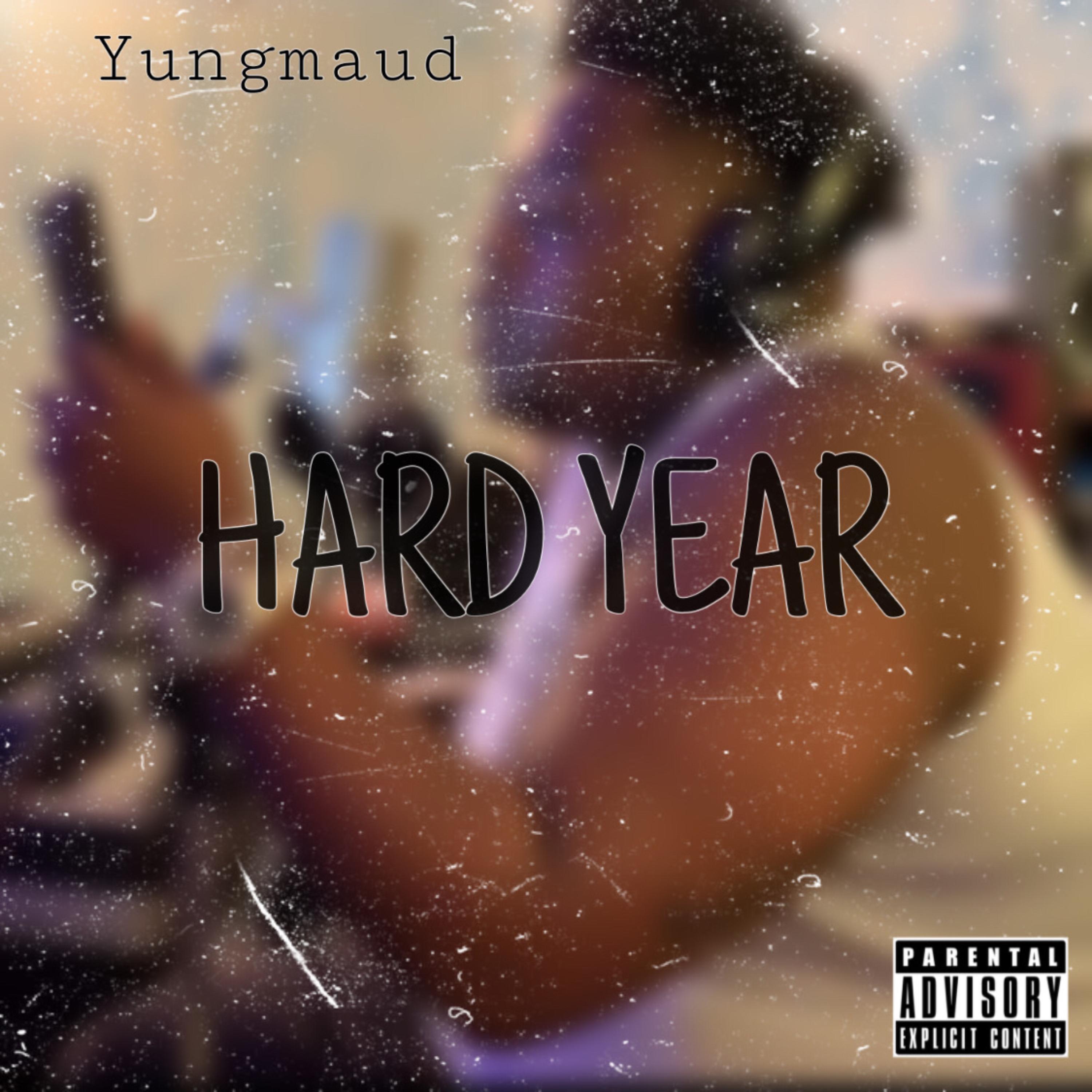 Hard year artwork
