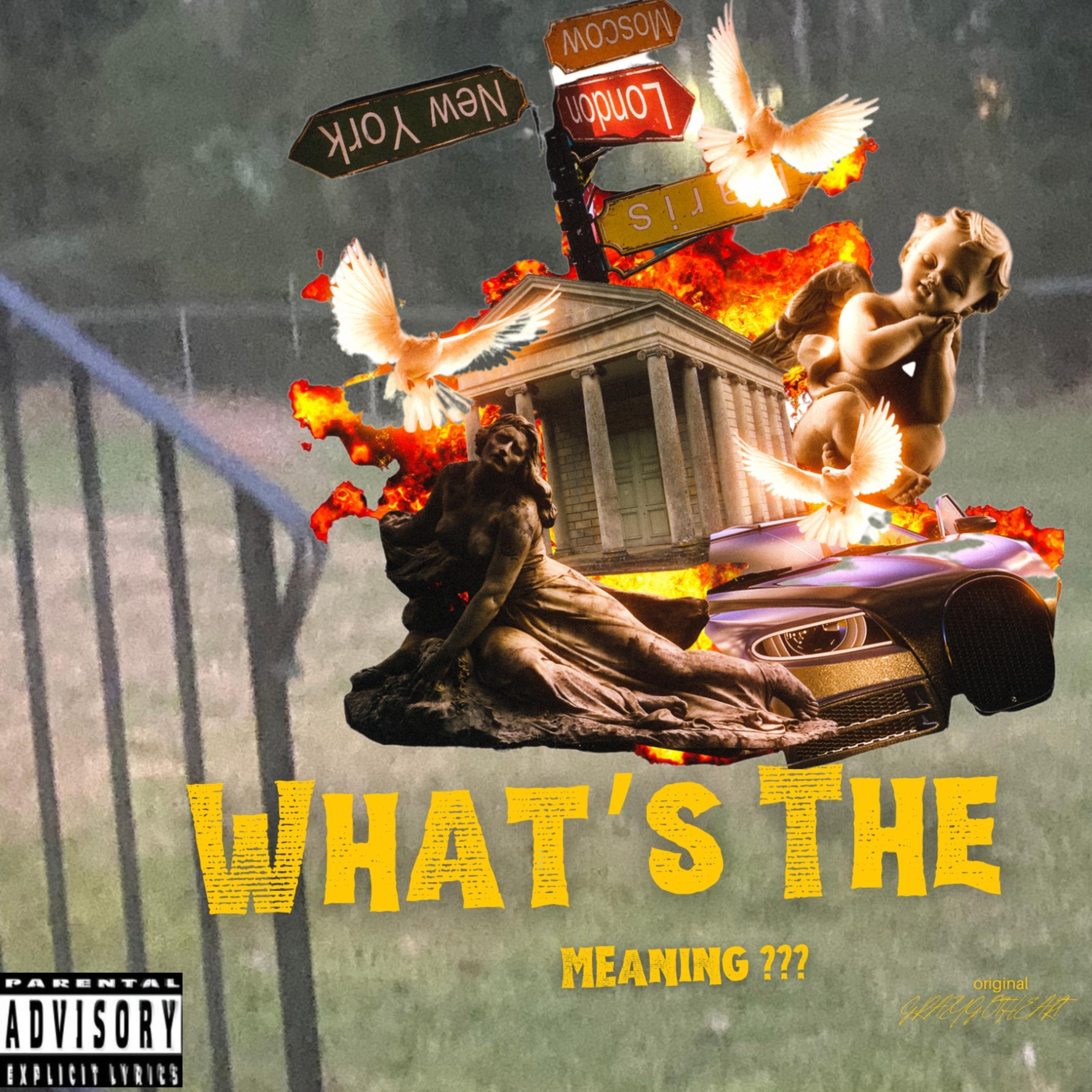 What’s The Meaning?? artwork