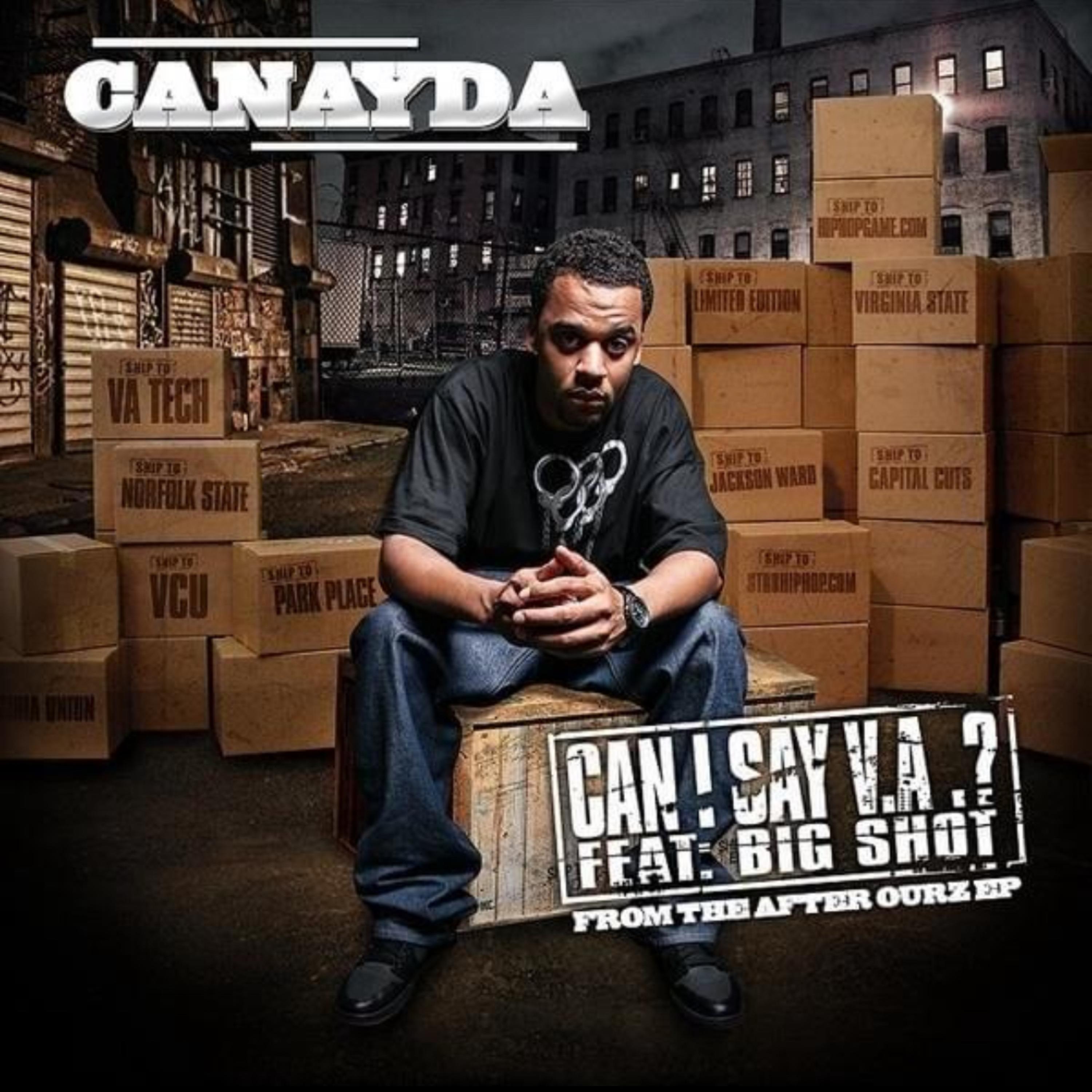 Can I Say VA? artwork