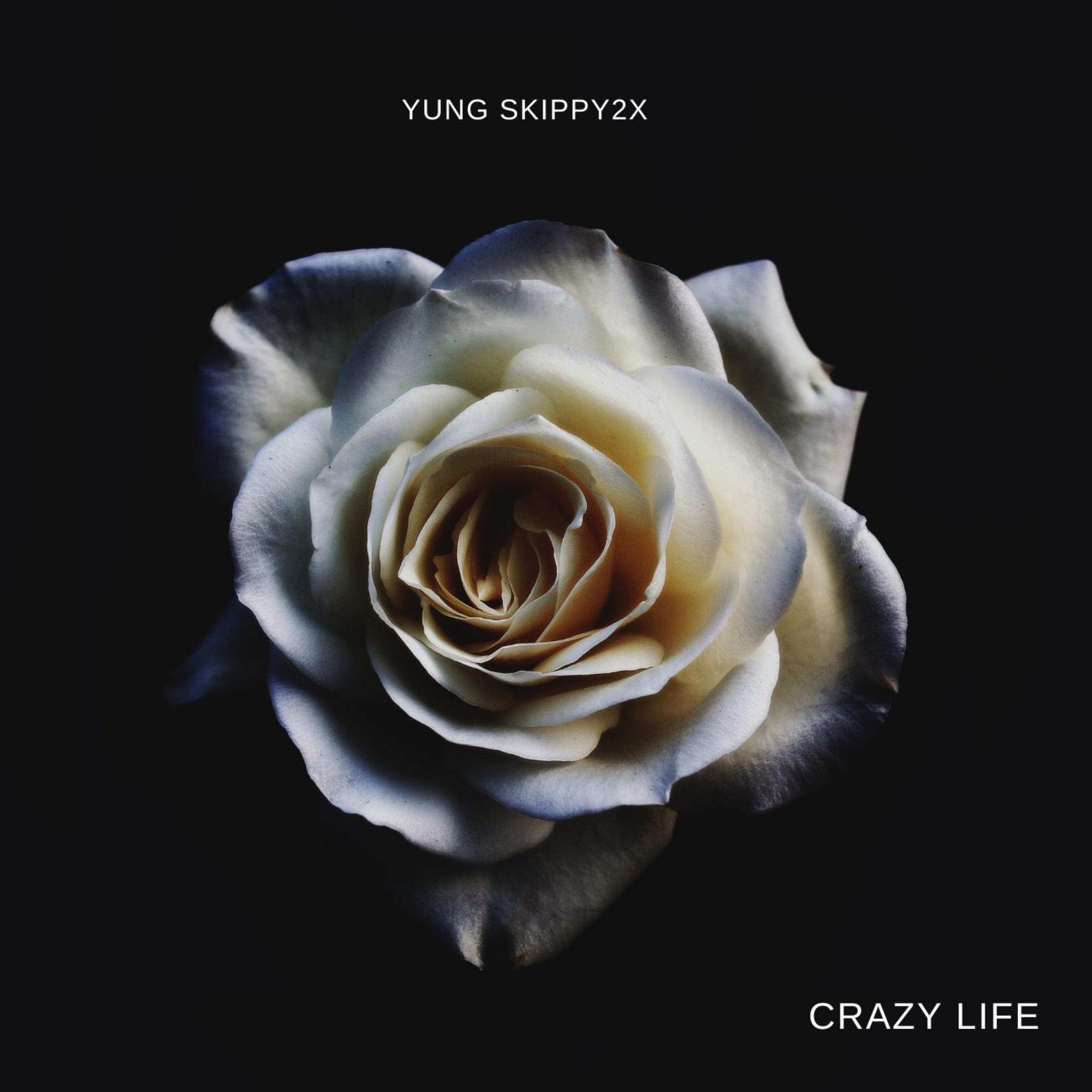 Crazy Life artwork