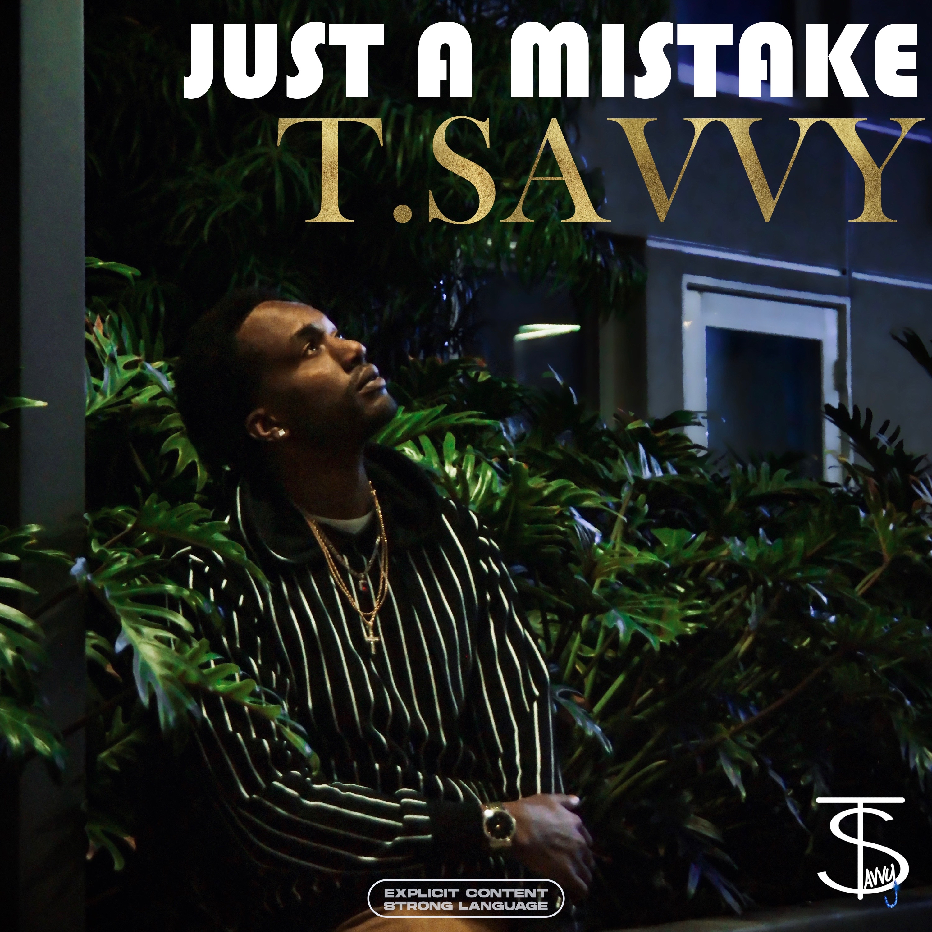 Just A Mistake by T.Savvy  cover art