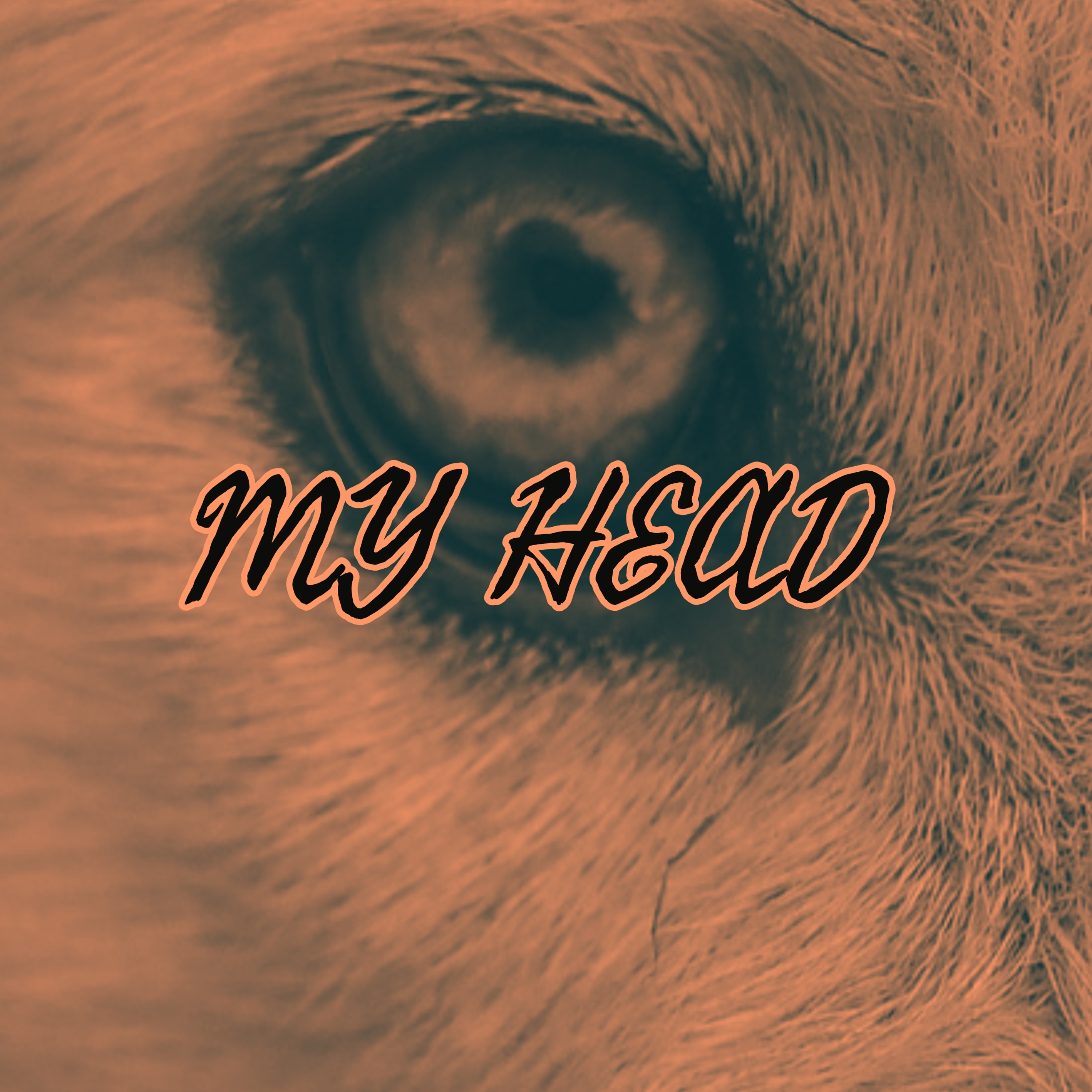 M Y H E A D artwork