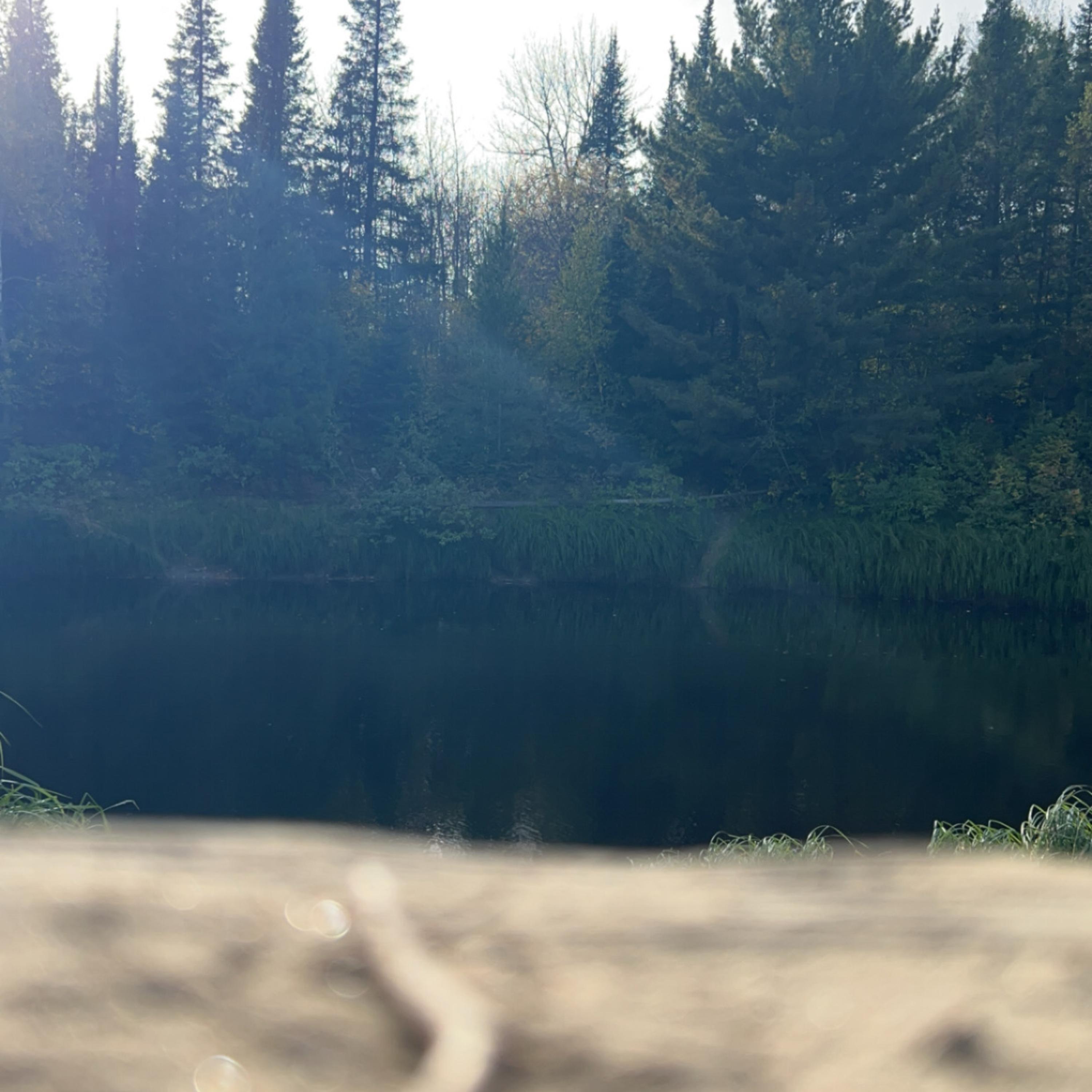 WhateverIsay artwork