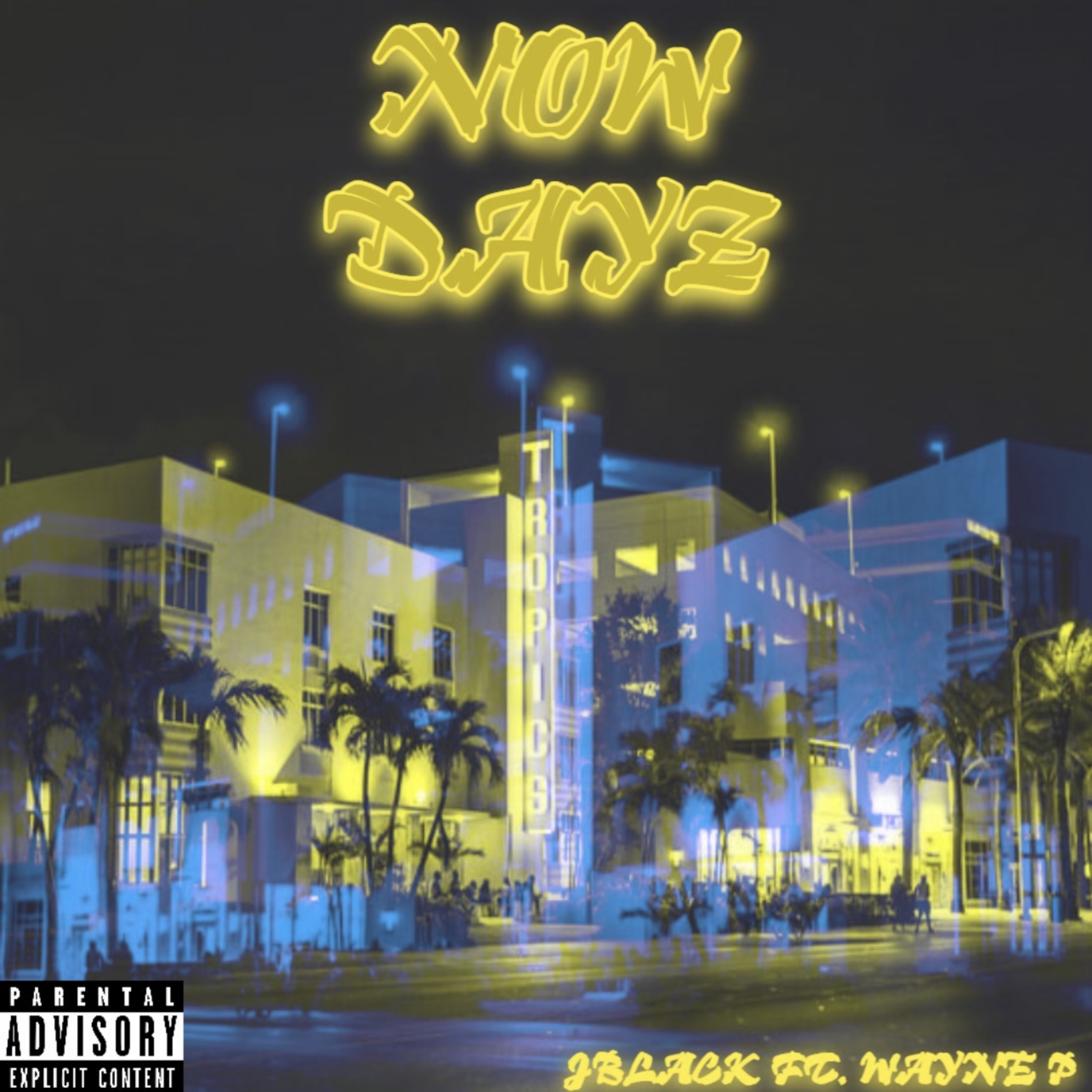 Now Dayz artwork
