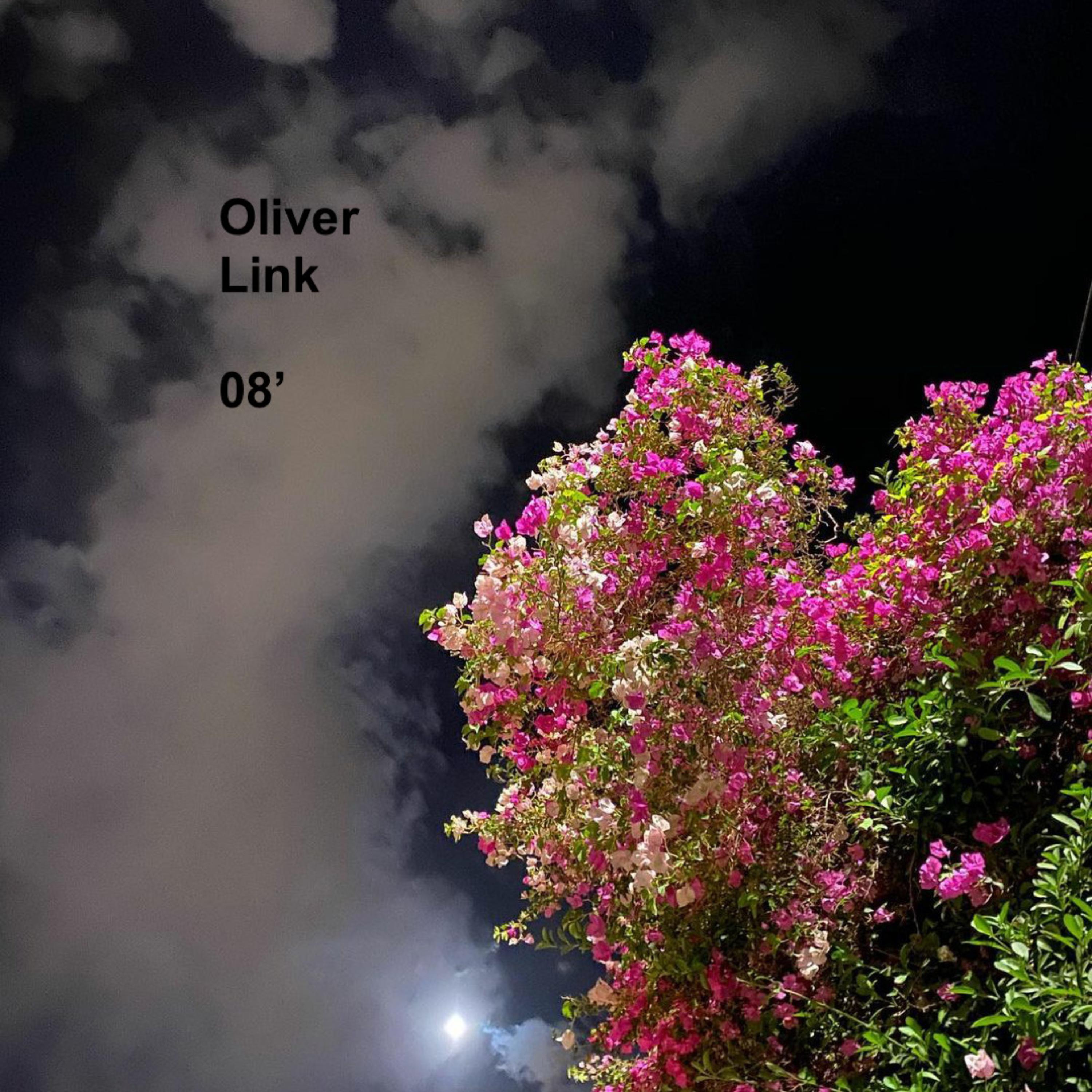 08' by Oliver Link cover art