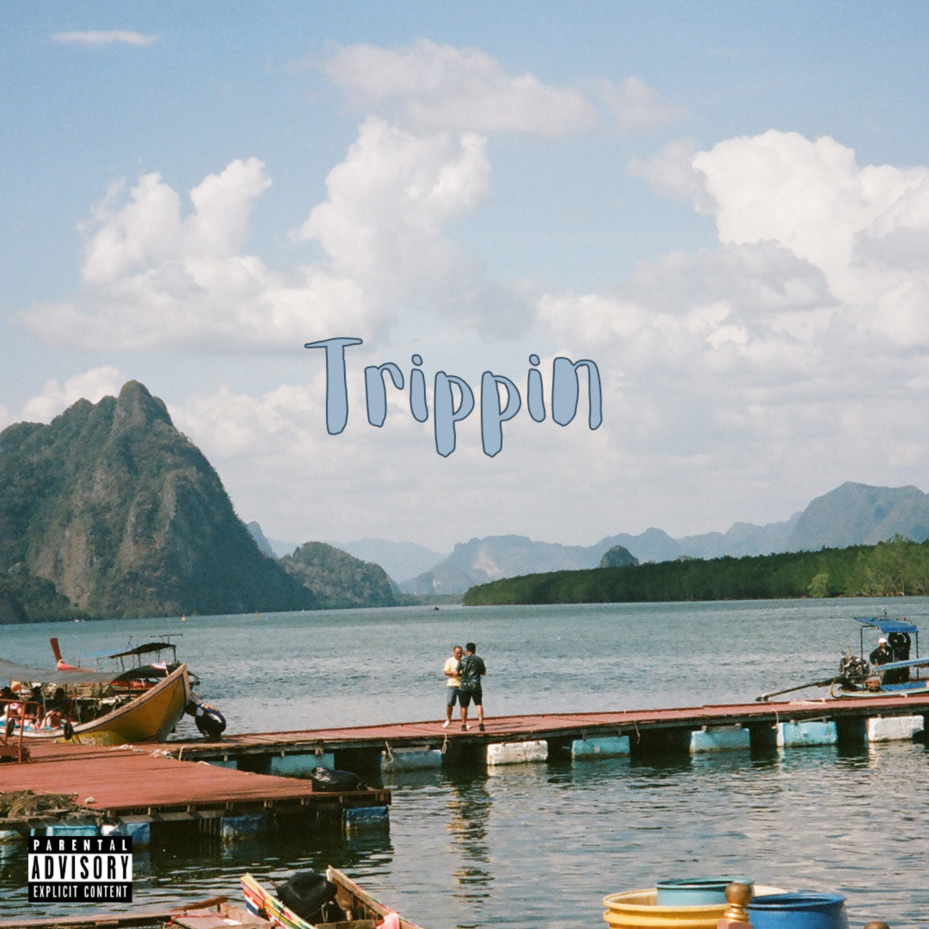 Trippin artwork