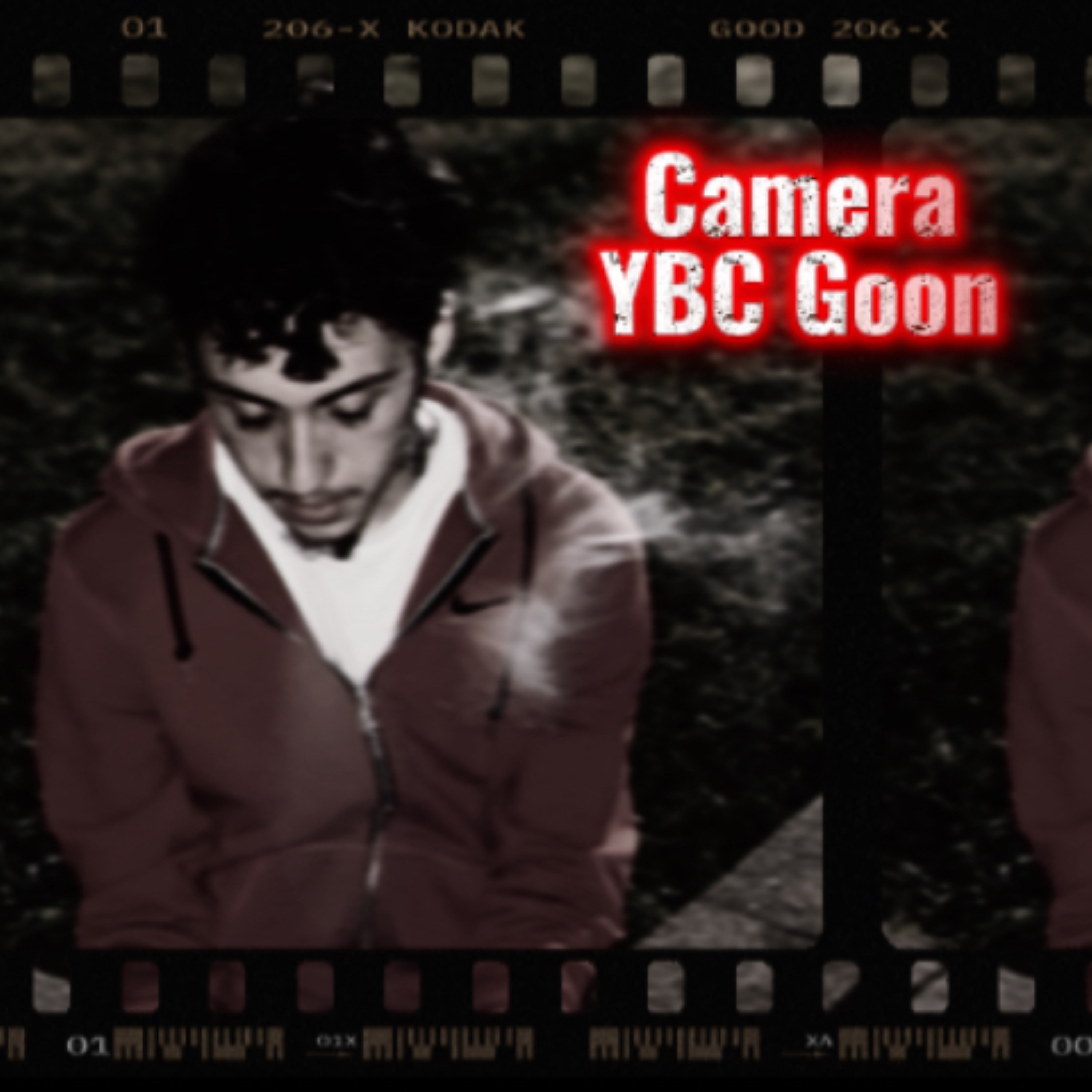 Camera artwork