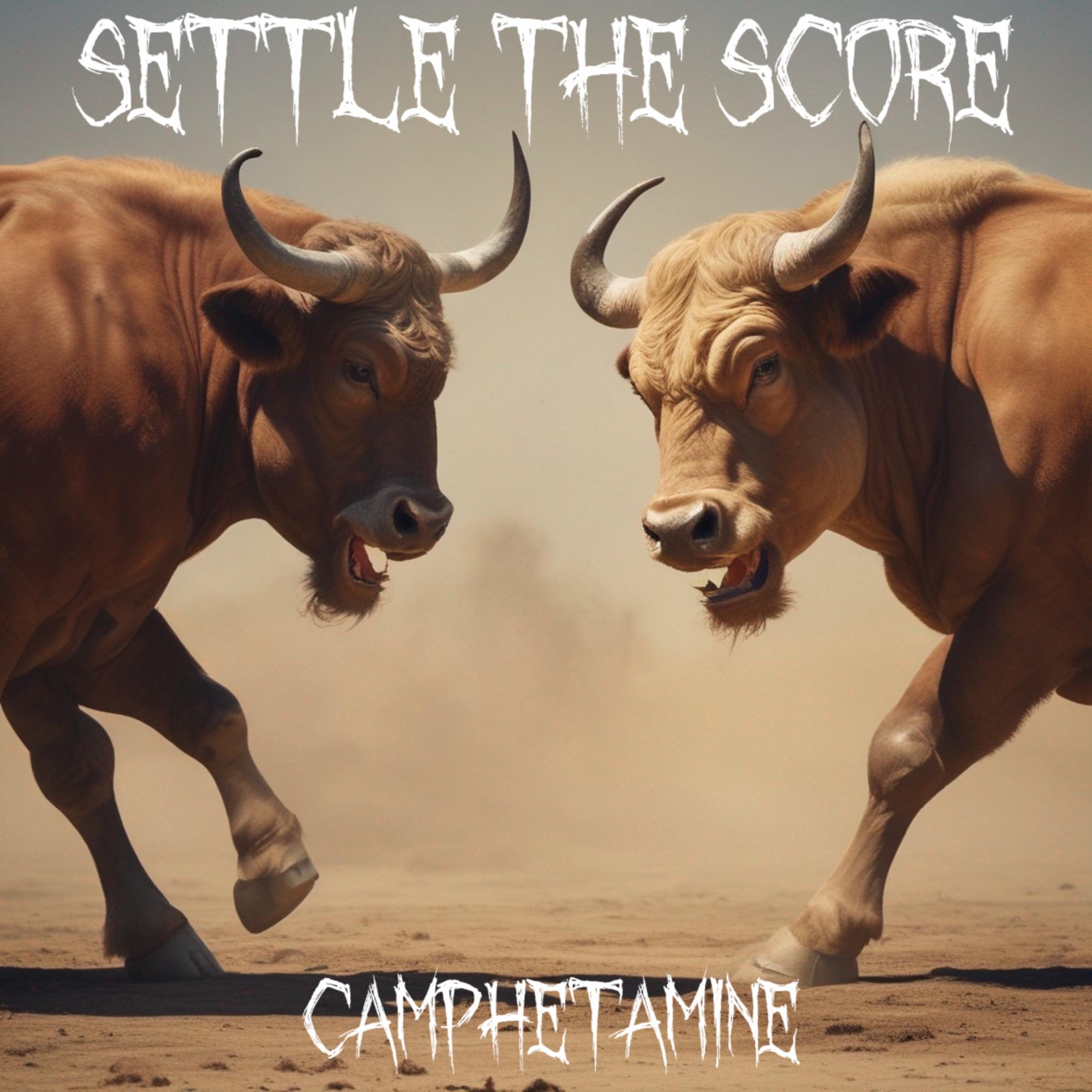 Settle The Score artwork