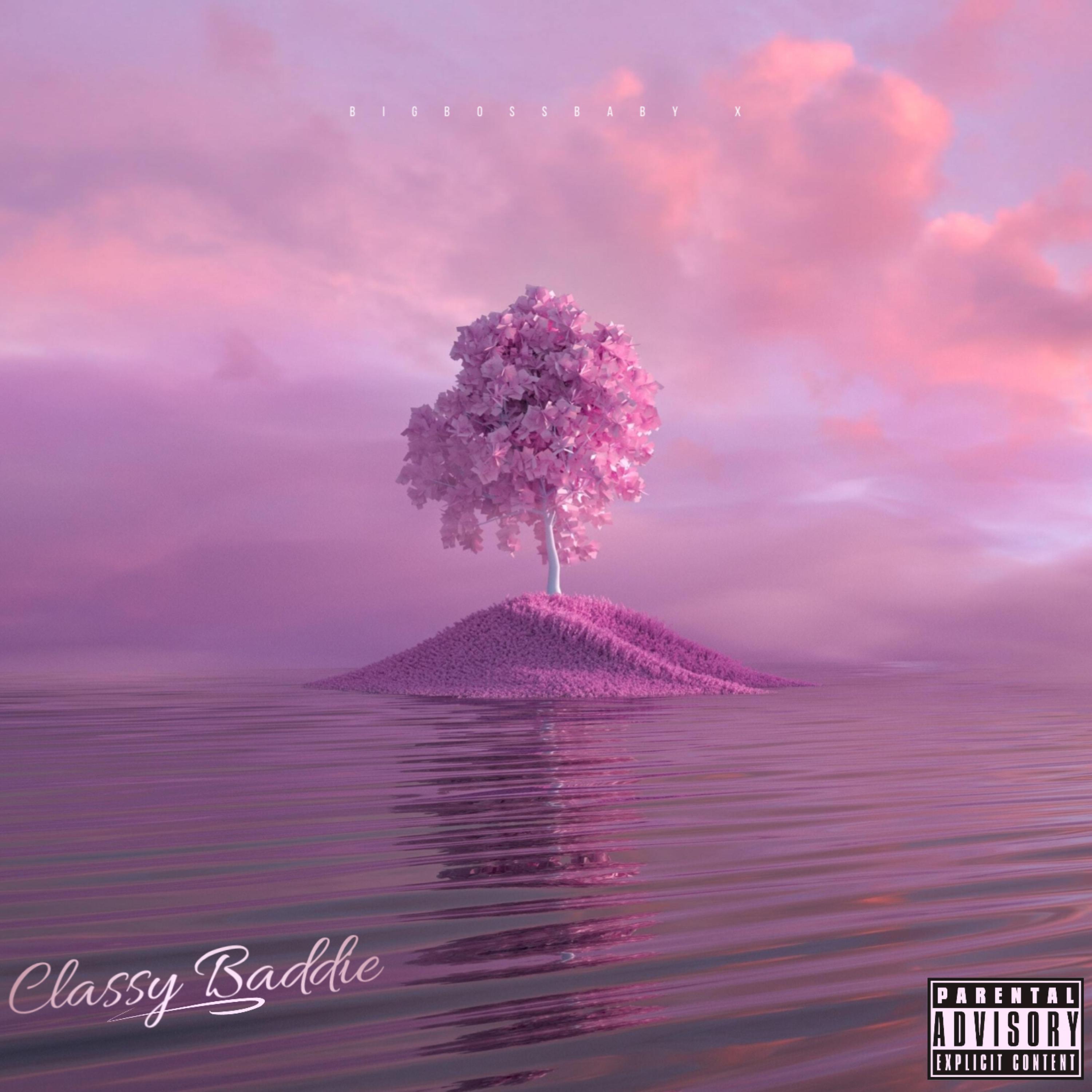 Classy Baddie artwork