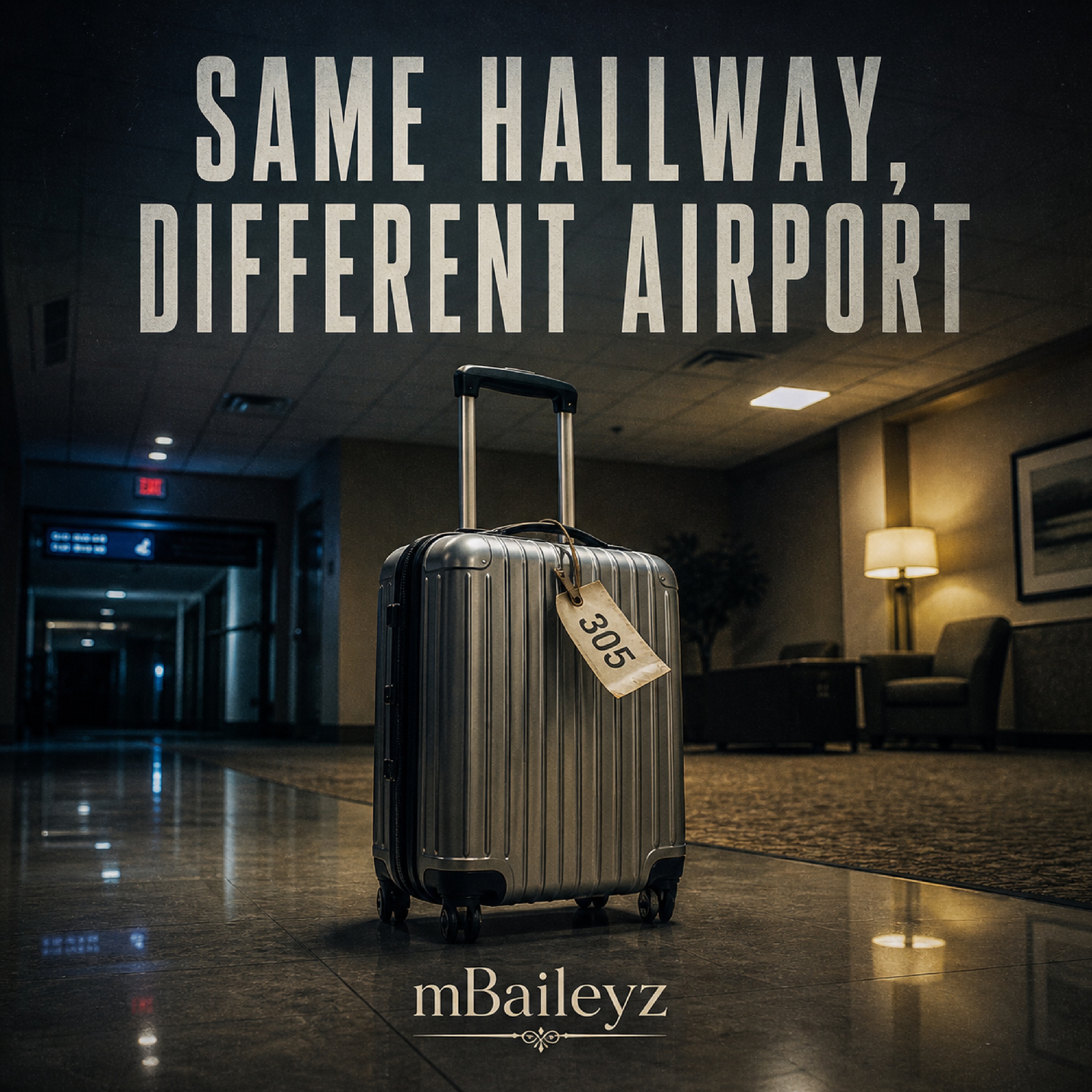 SAME HALLWAY, DIFFERENT AIRPORT artwork