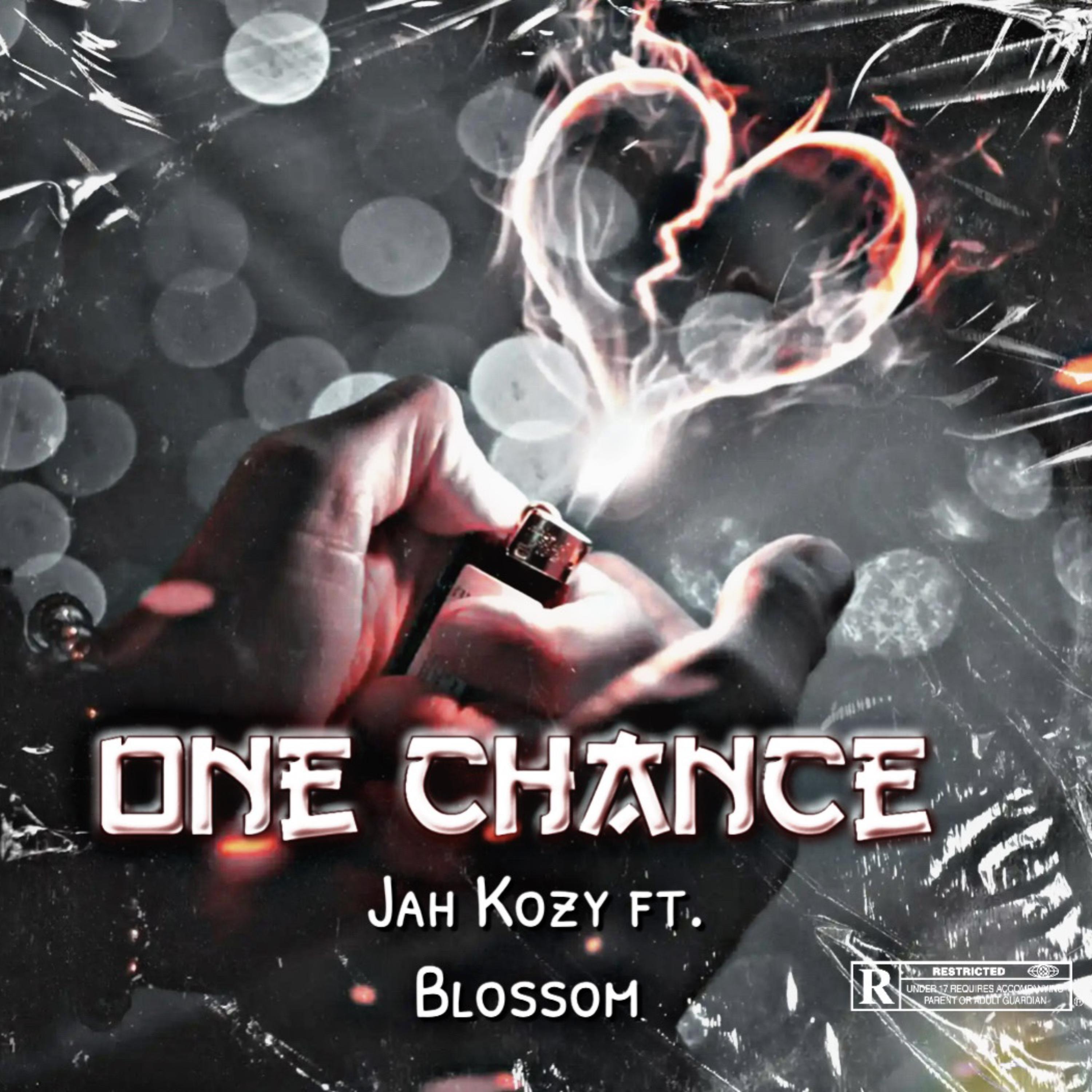 One Chance artwork
