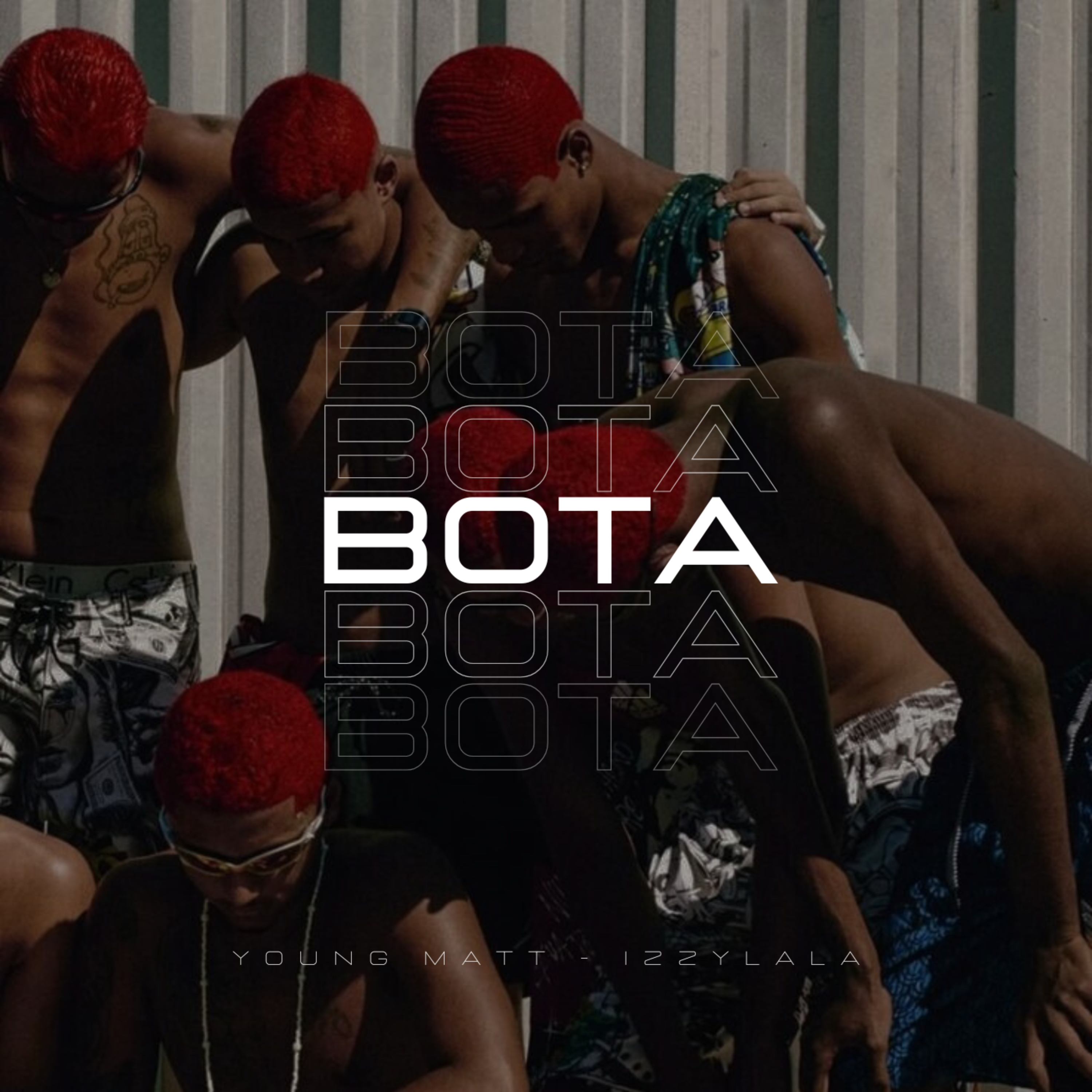 BOTA artwork