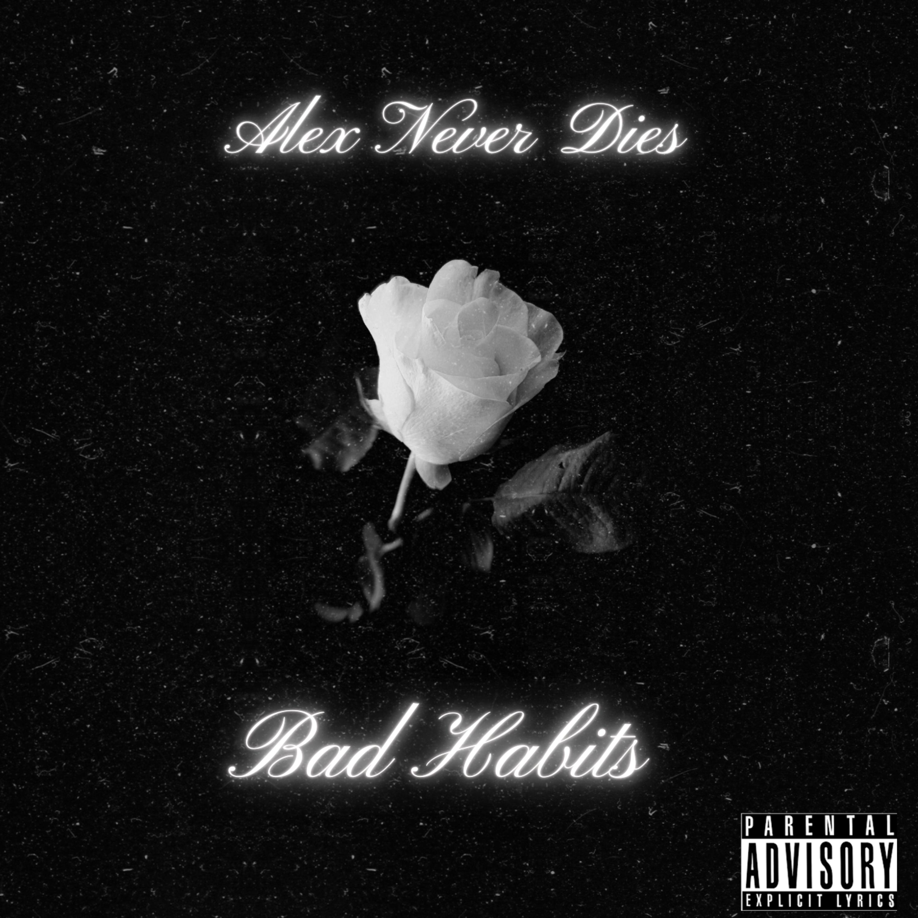 Bad Habits artwork