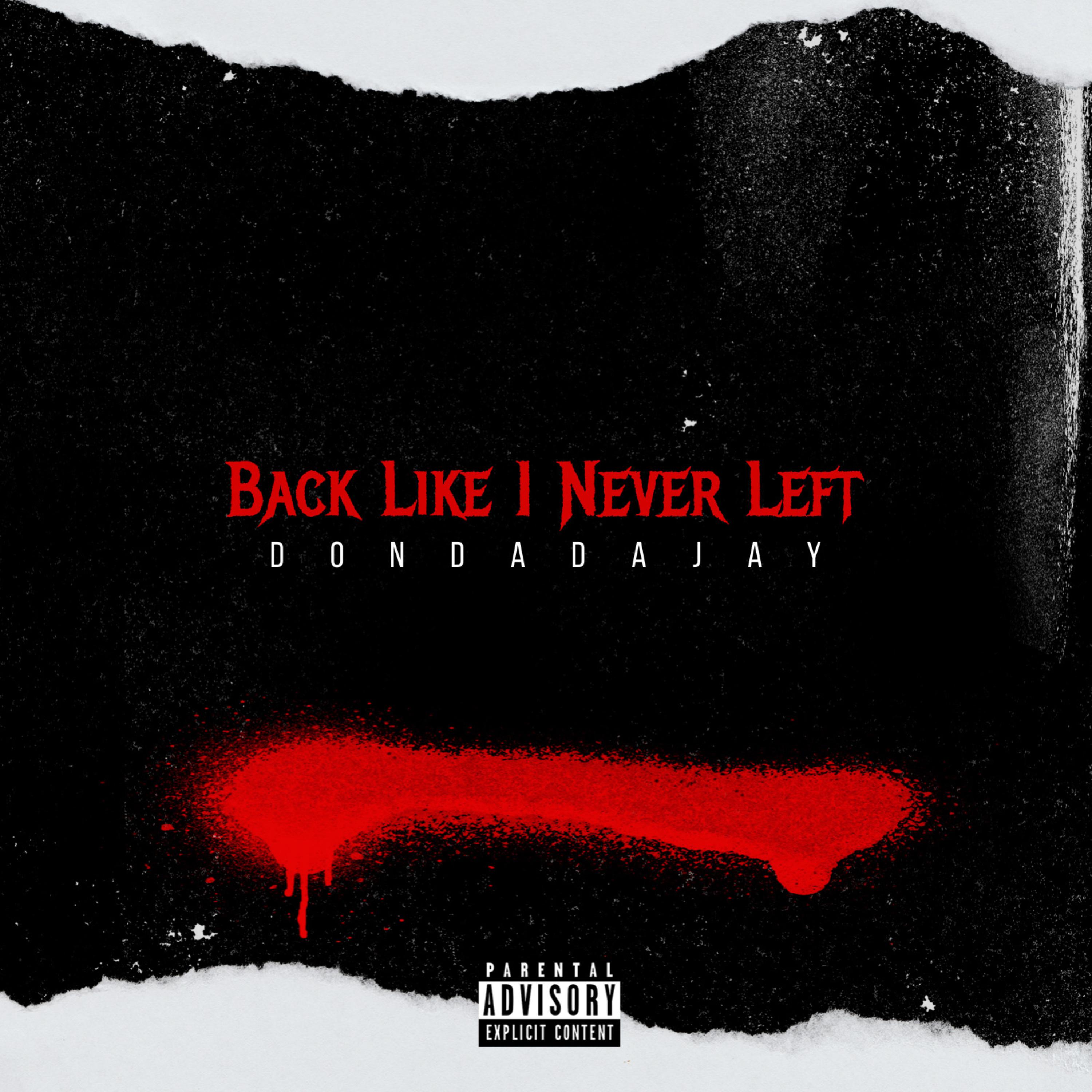 Back Like I Never Left artwork