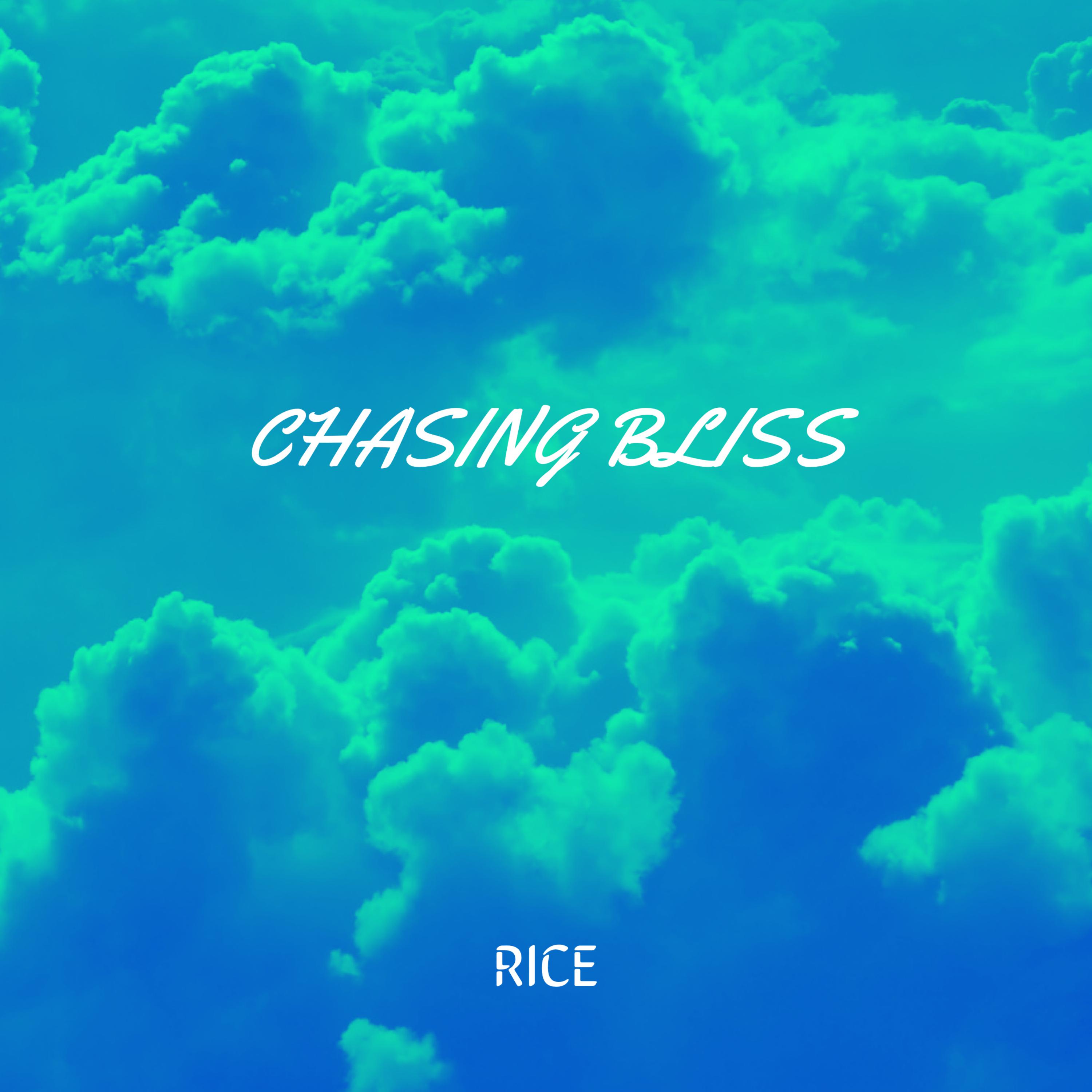 Chasing Bliss artwork