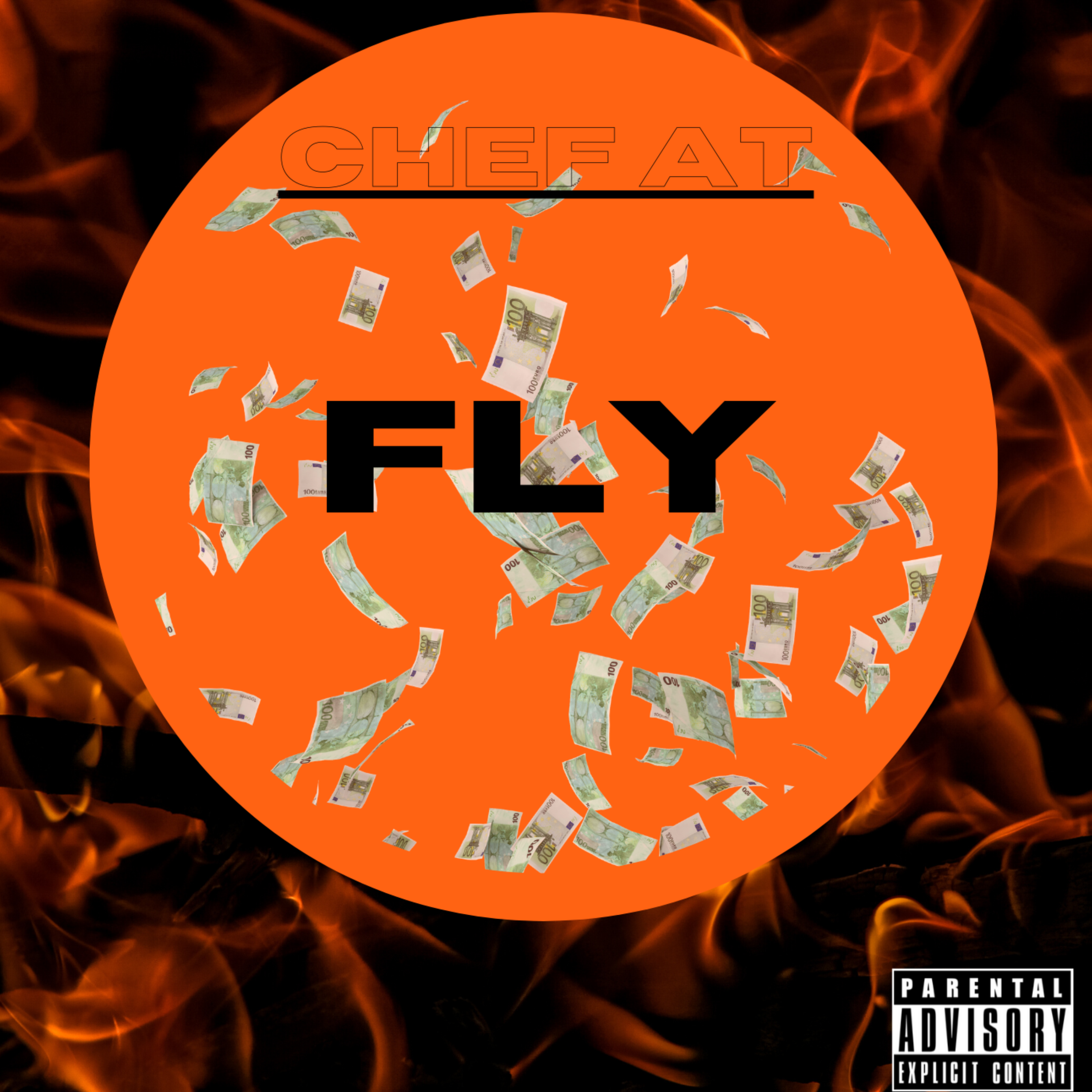Fly artwork