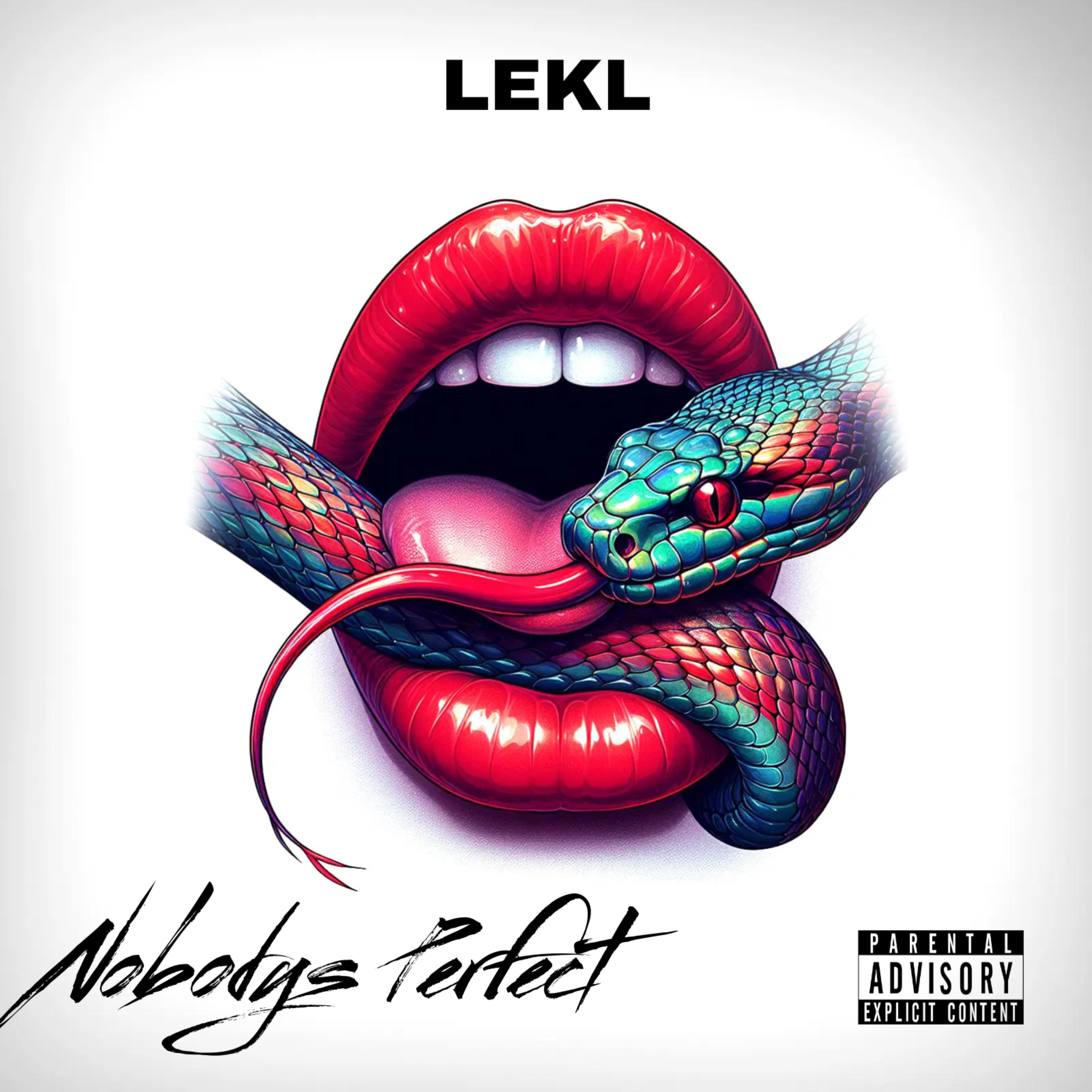 Nobody’s Perfect artwork