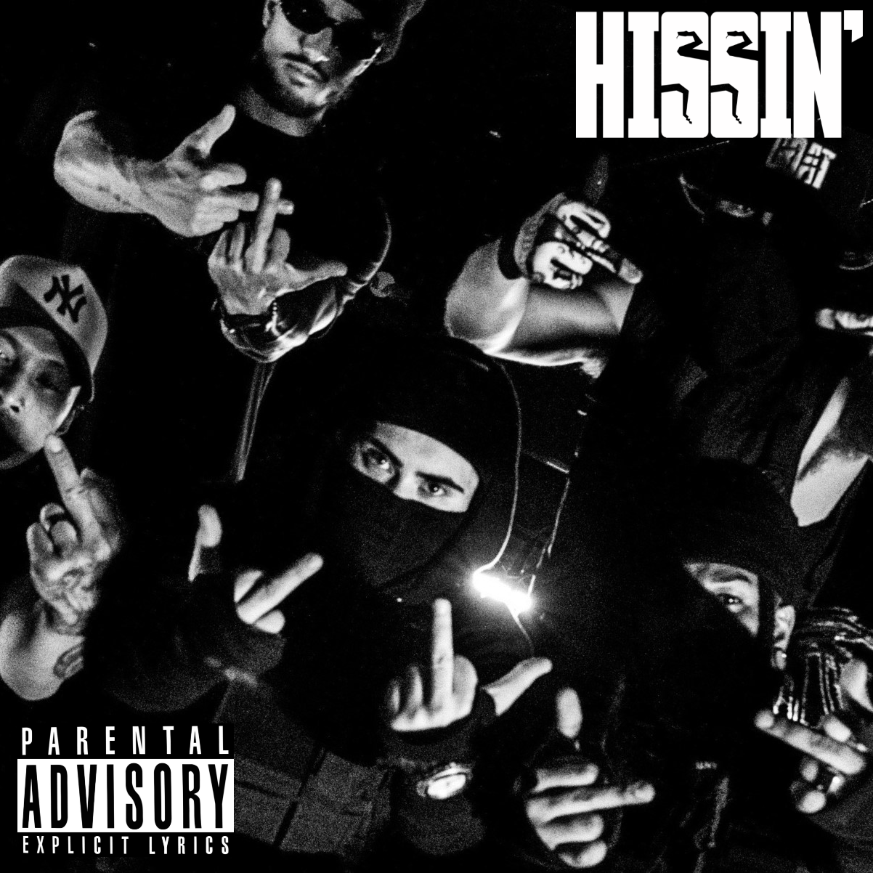 Hissin' artwork