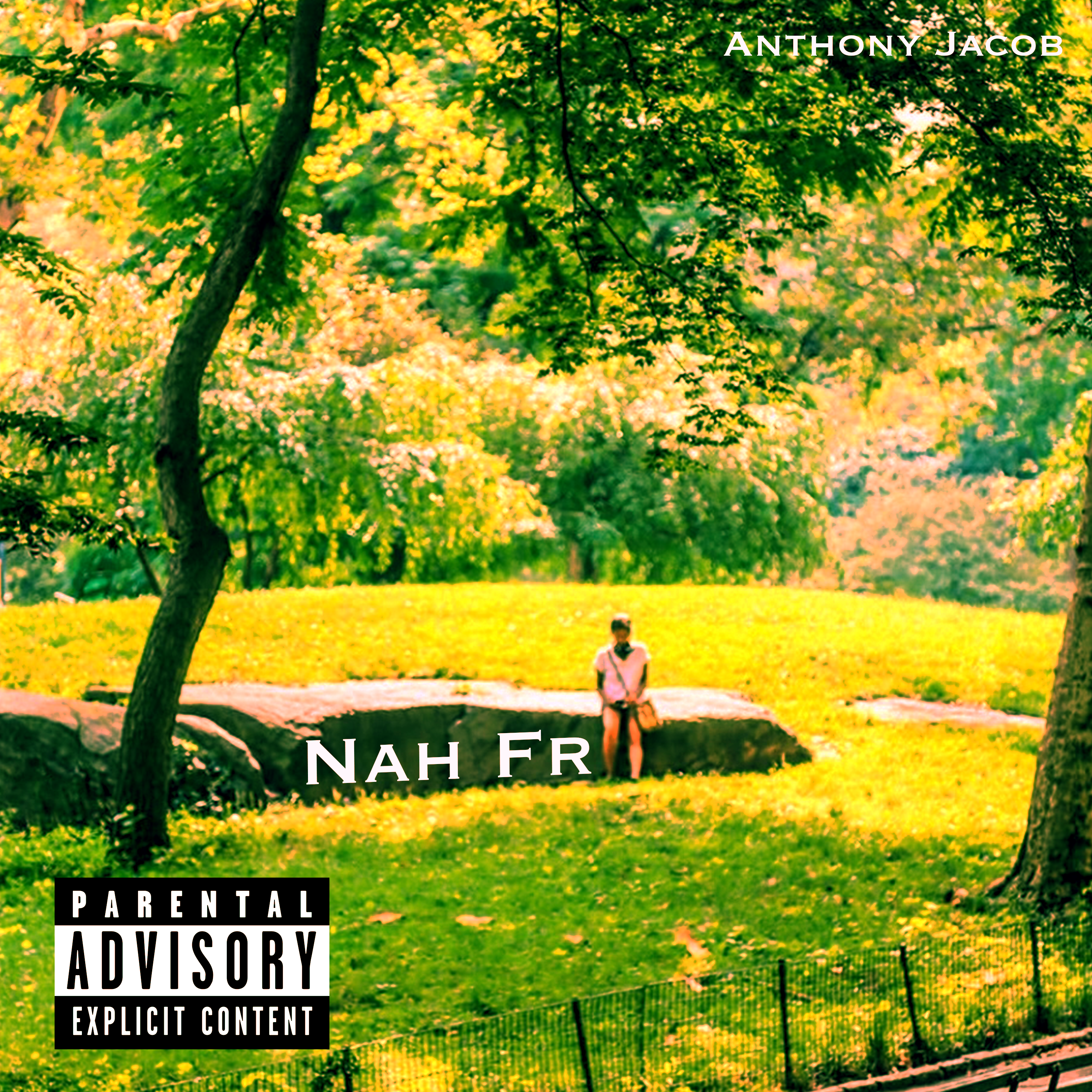 Nah Fr artwork