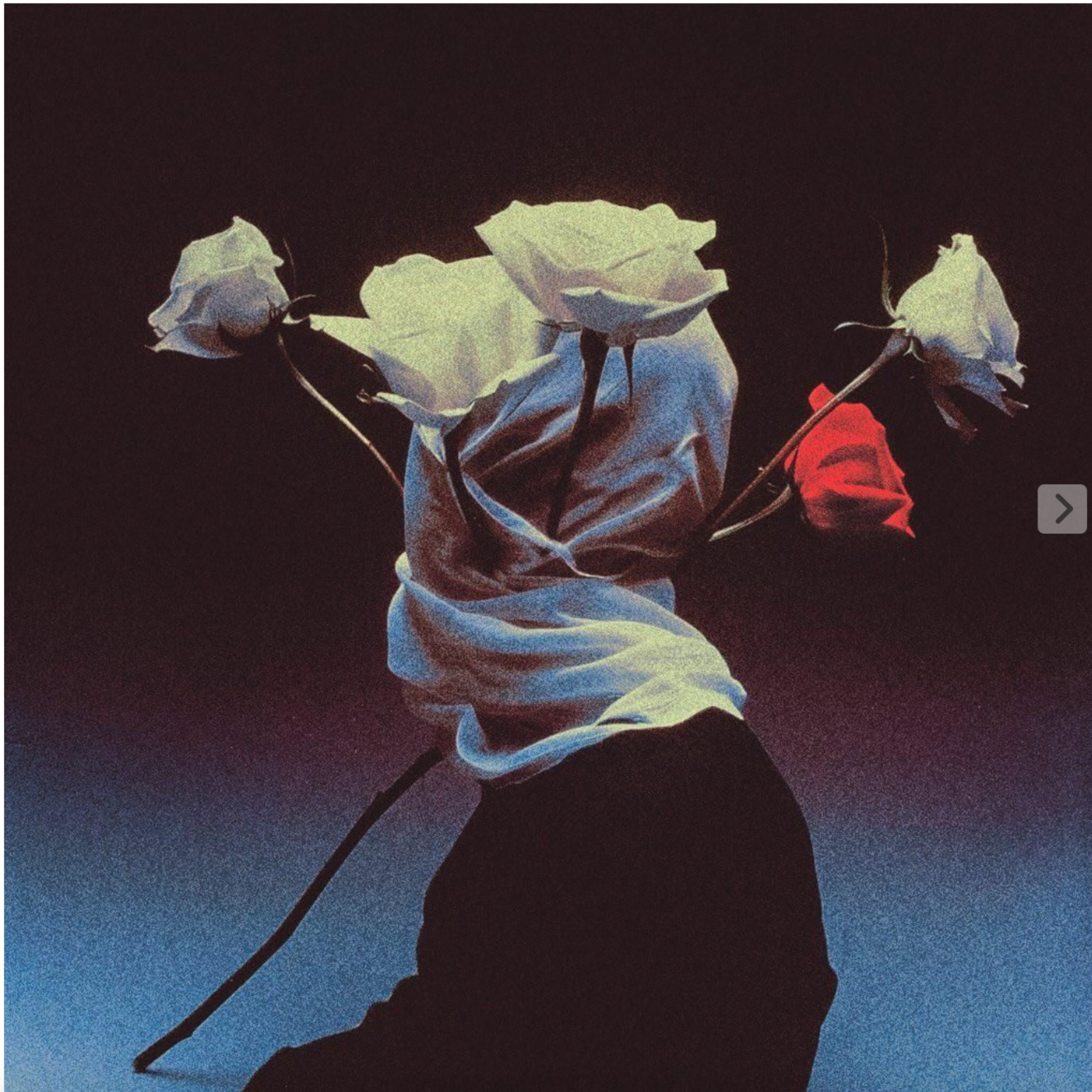 my flowers bloom in october! by Teezy5k cover art