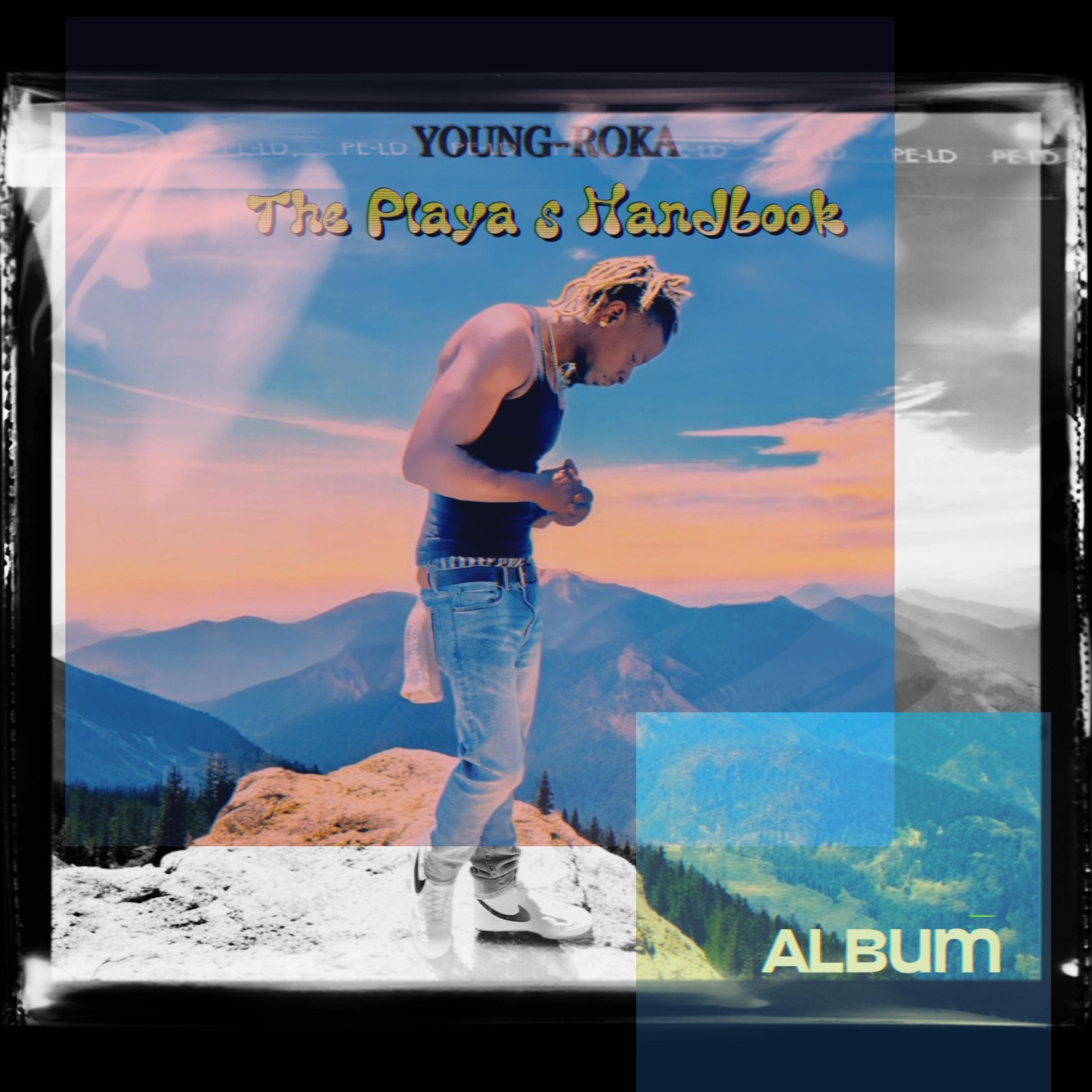 THE PLAYAS HANDBOOK artwork