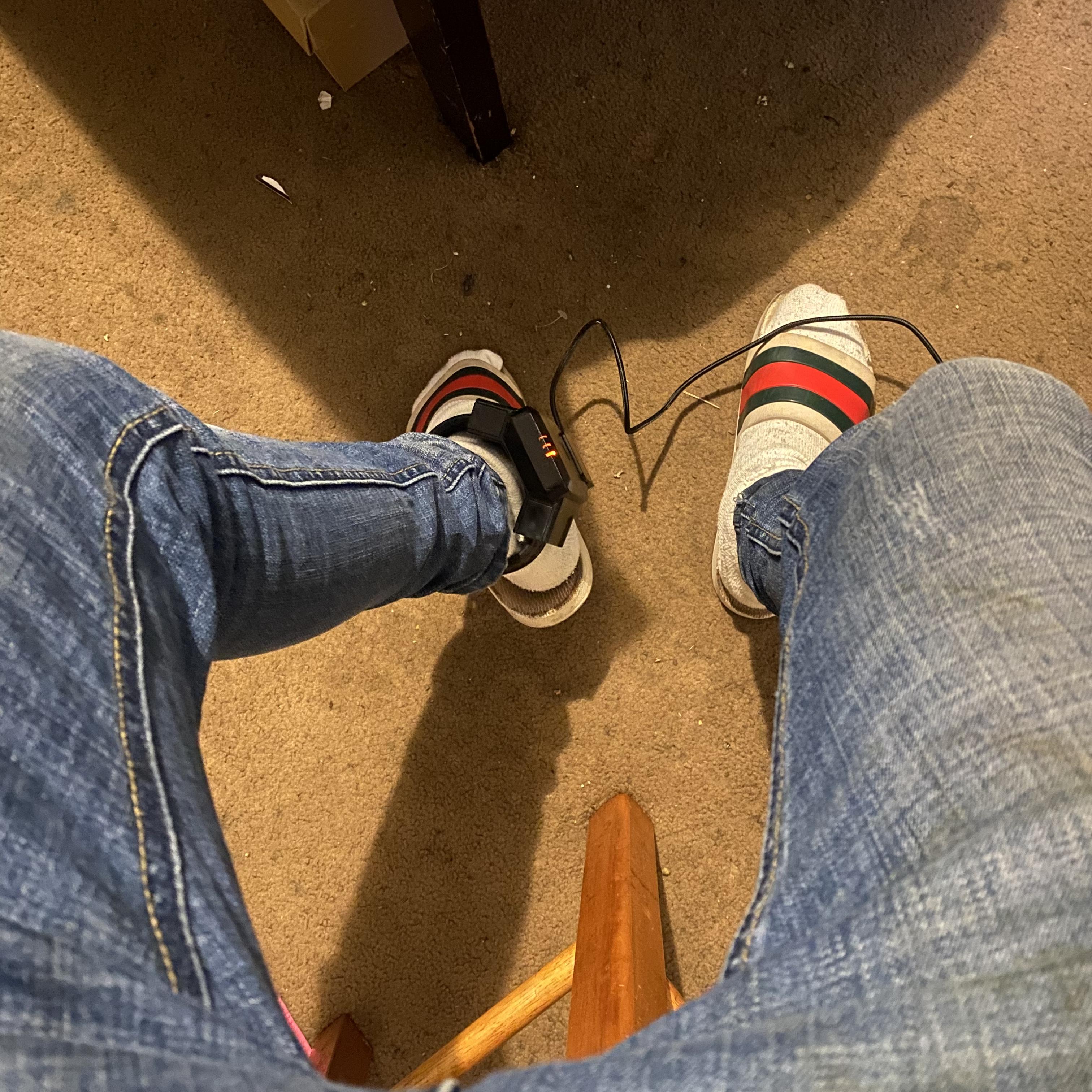 House Arrest artwork